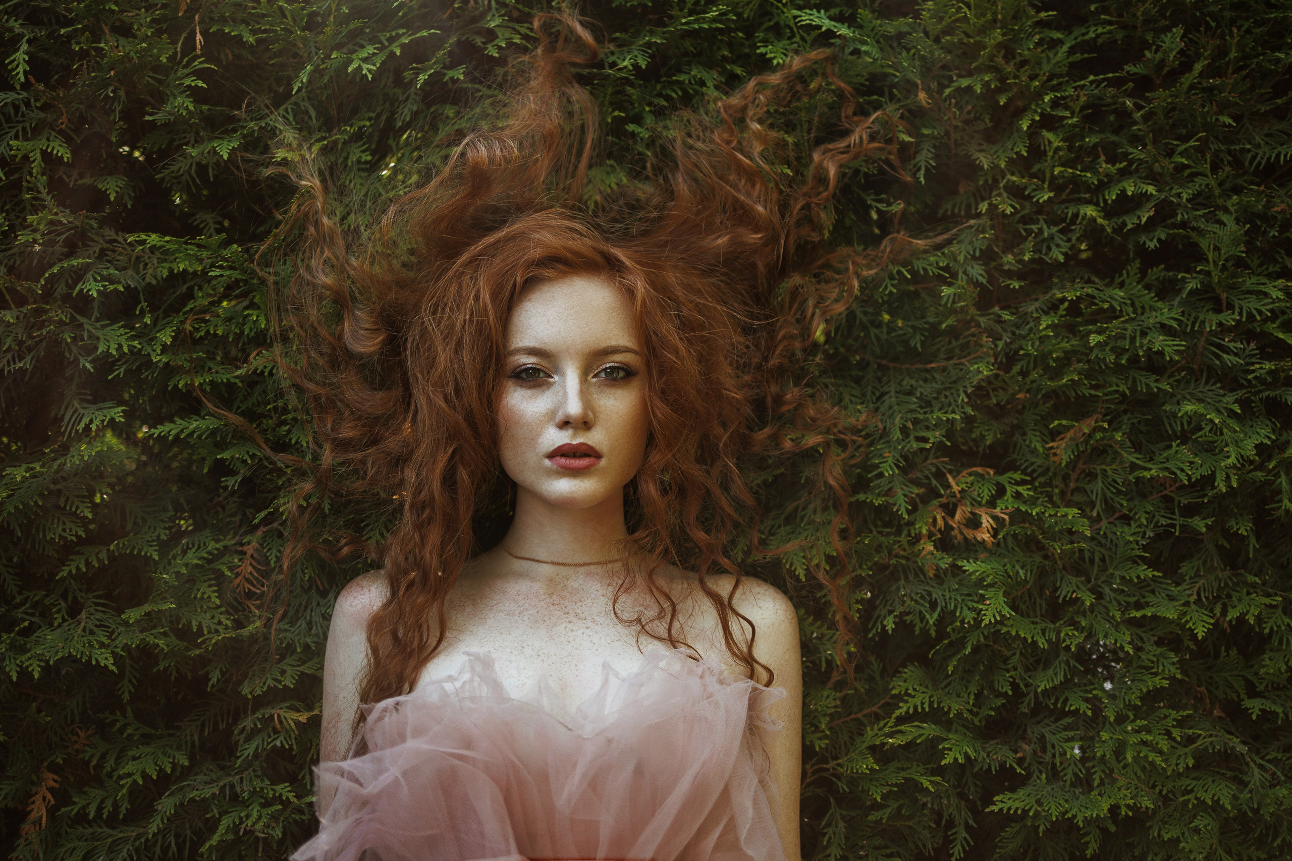 Света «Алиса в стране чудес». Марковкина КрисТина