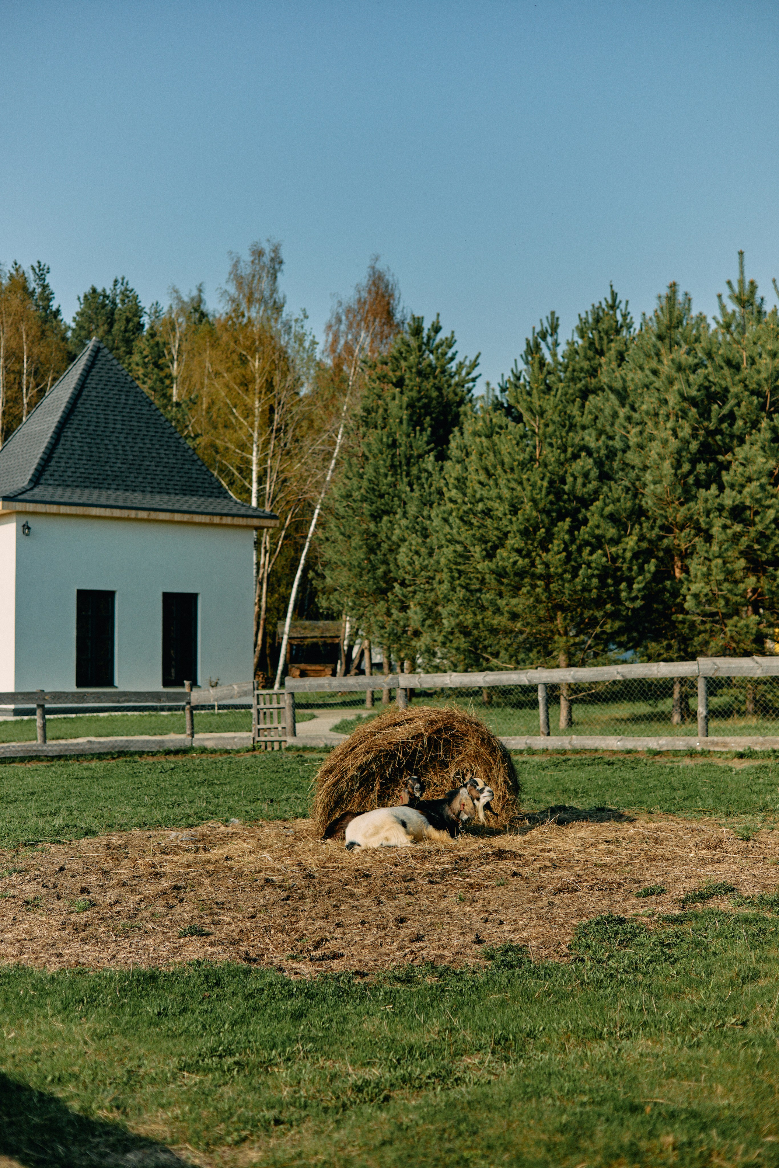 Бутик-отель Поле летом. Профессиональный Фотограф во Владимире, в Москве и в Суздале — Полина Романычева