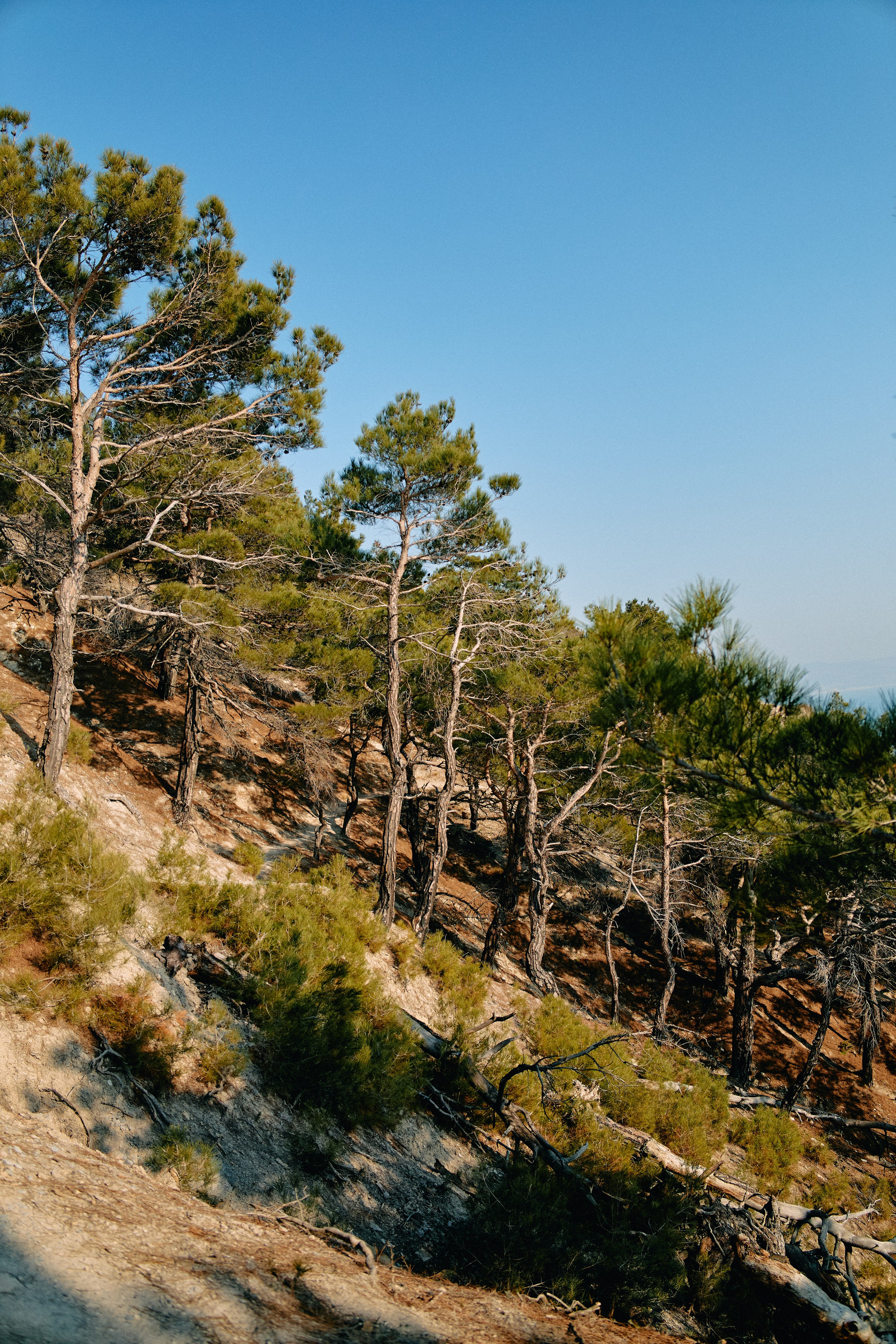 Юг России. Профессиональный Фотограф во Владимире, в Москве и в Суздале — Полина Романычева