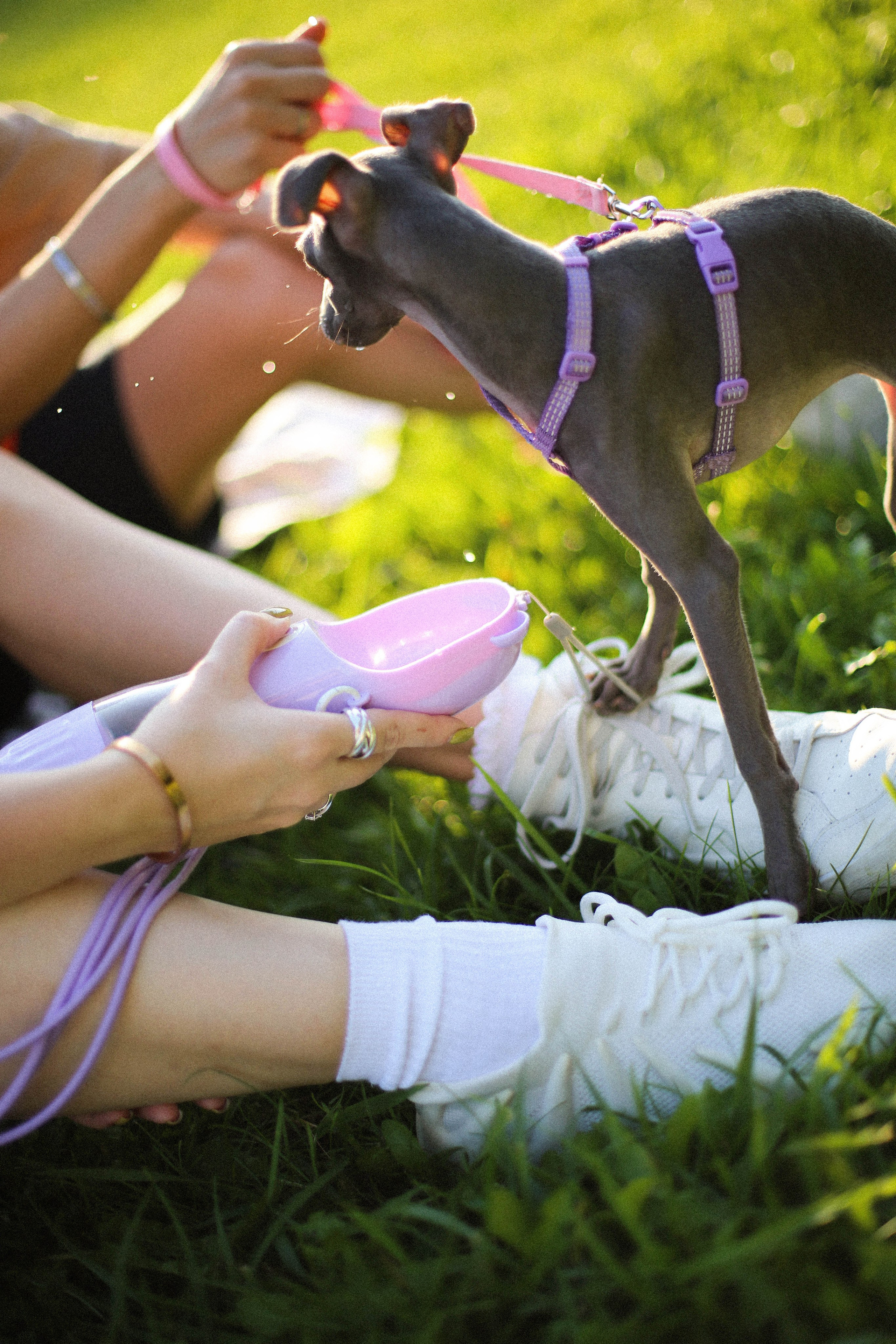 Таня, Саша, Мыша. Фотограф Екатерина Максимова: семейные, индивидуальные съемки, свадьбы