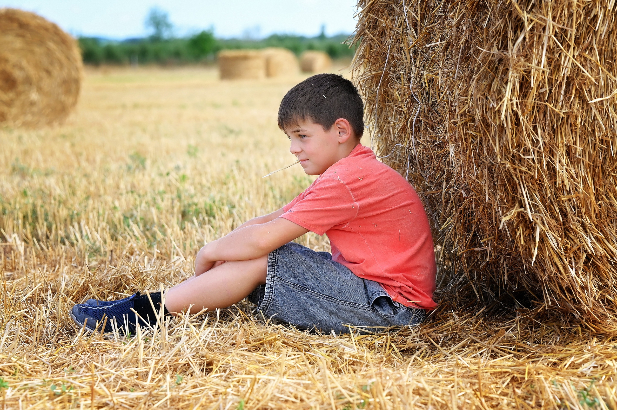 Сено. Главная
