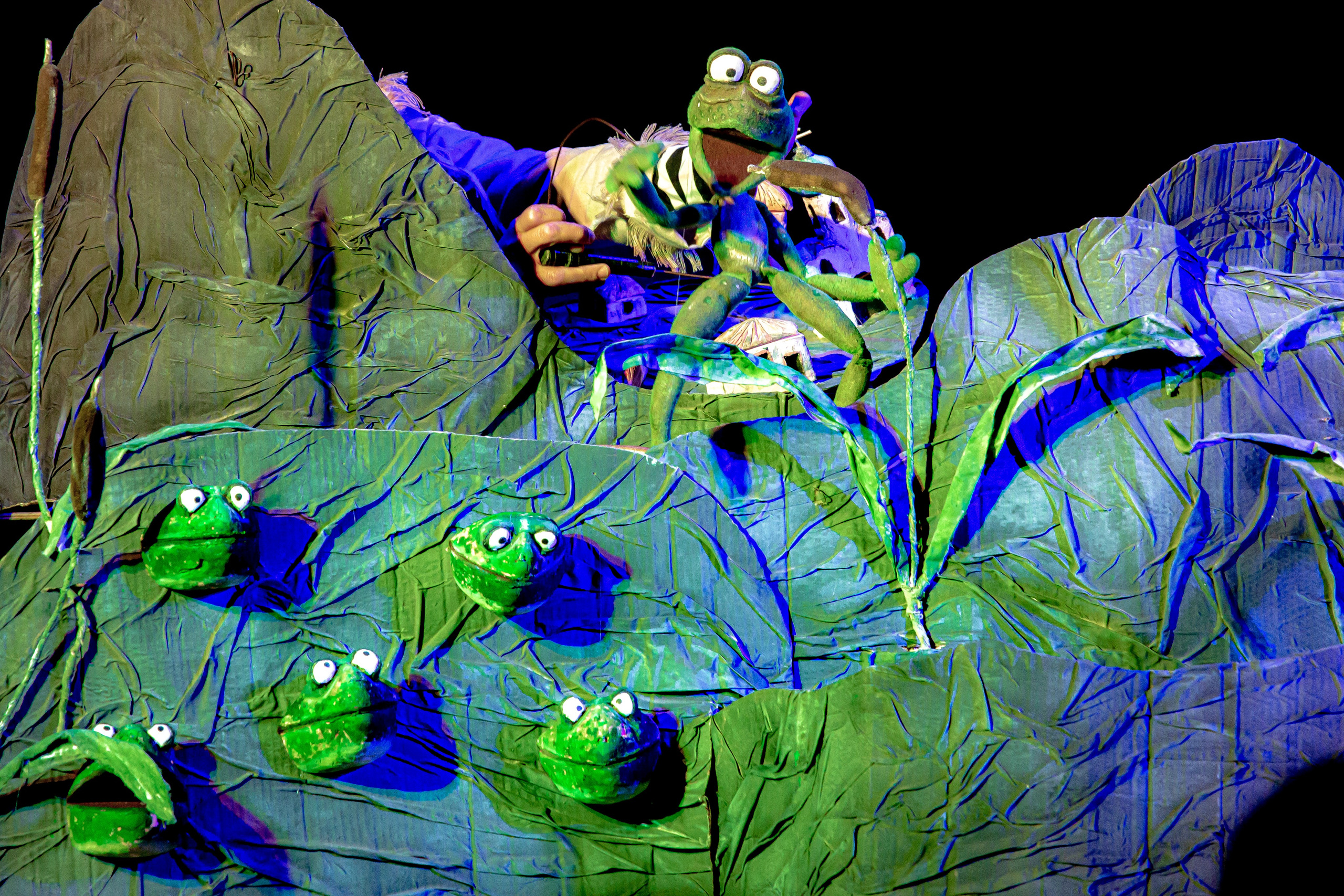 Спектакль театра Саквояж Лягушка путешествиница. Фотограф в Сочи Юрий Шептаев