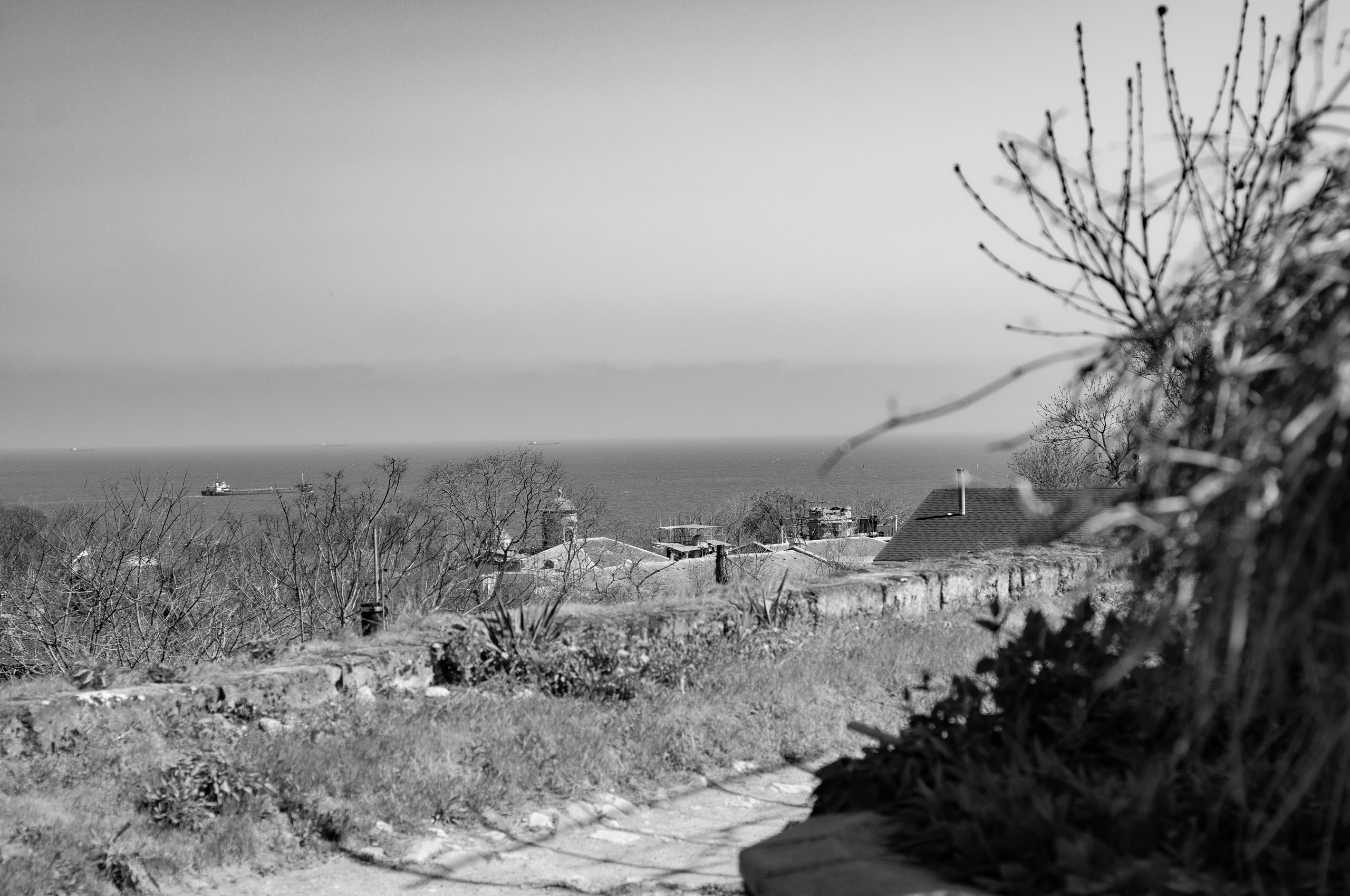 Для души. Сейчас вылетит ПТИЧКА! Фотосессии в Керчи