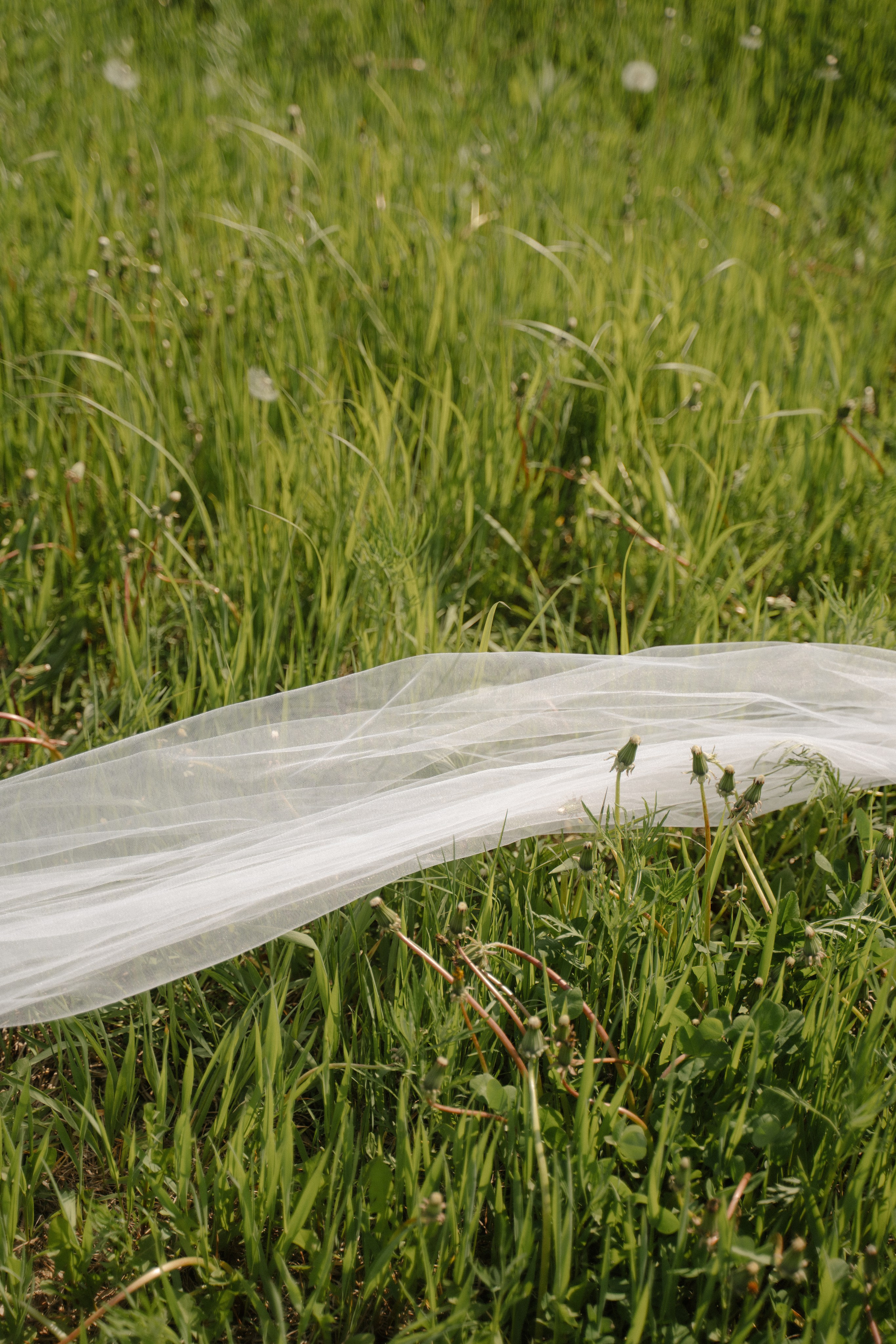 Поле. Фотограф Евстигнеев Илья