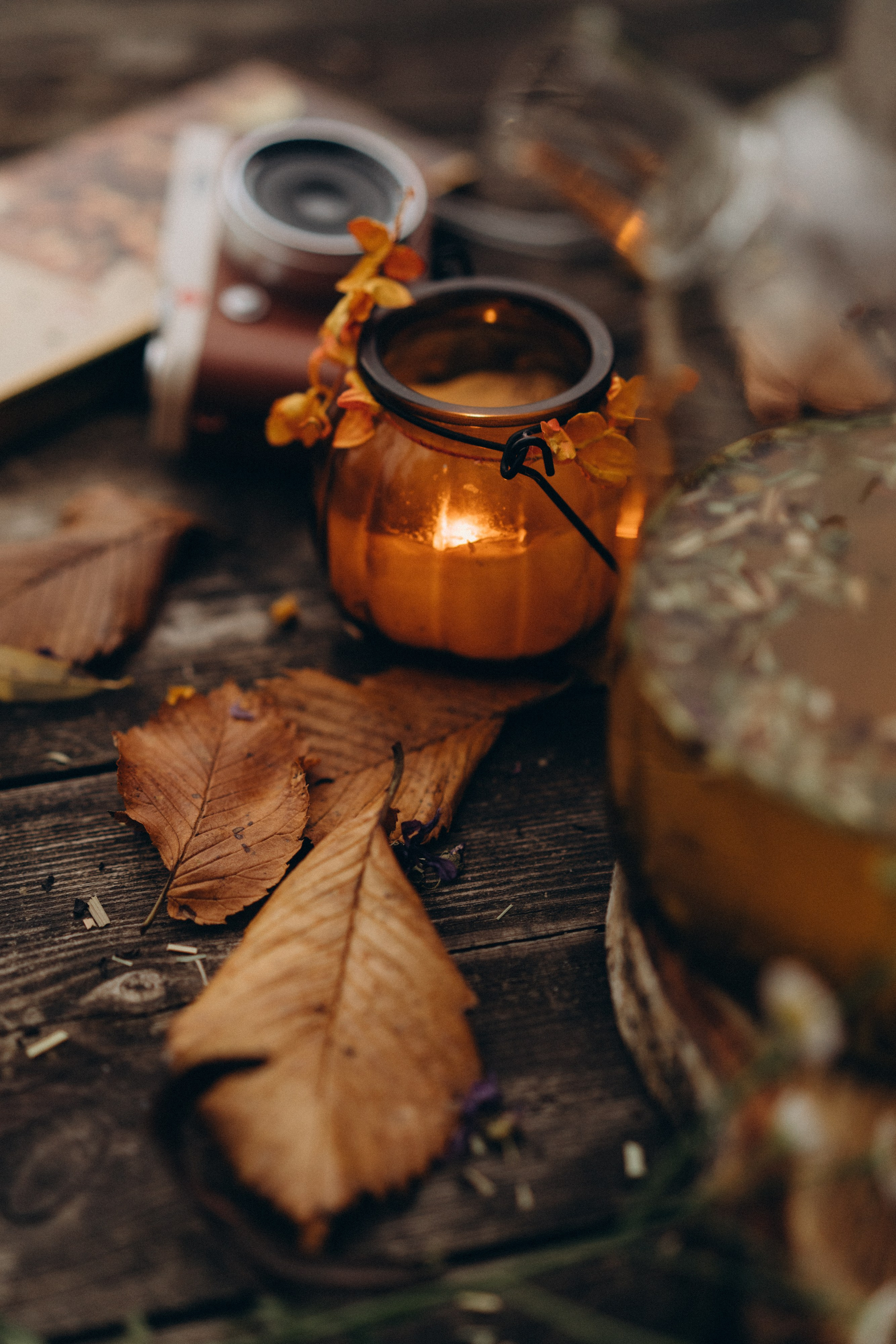 Октябрьская история. Лиза Фирстова — самый добрый фотограф