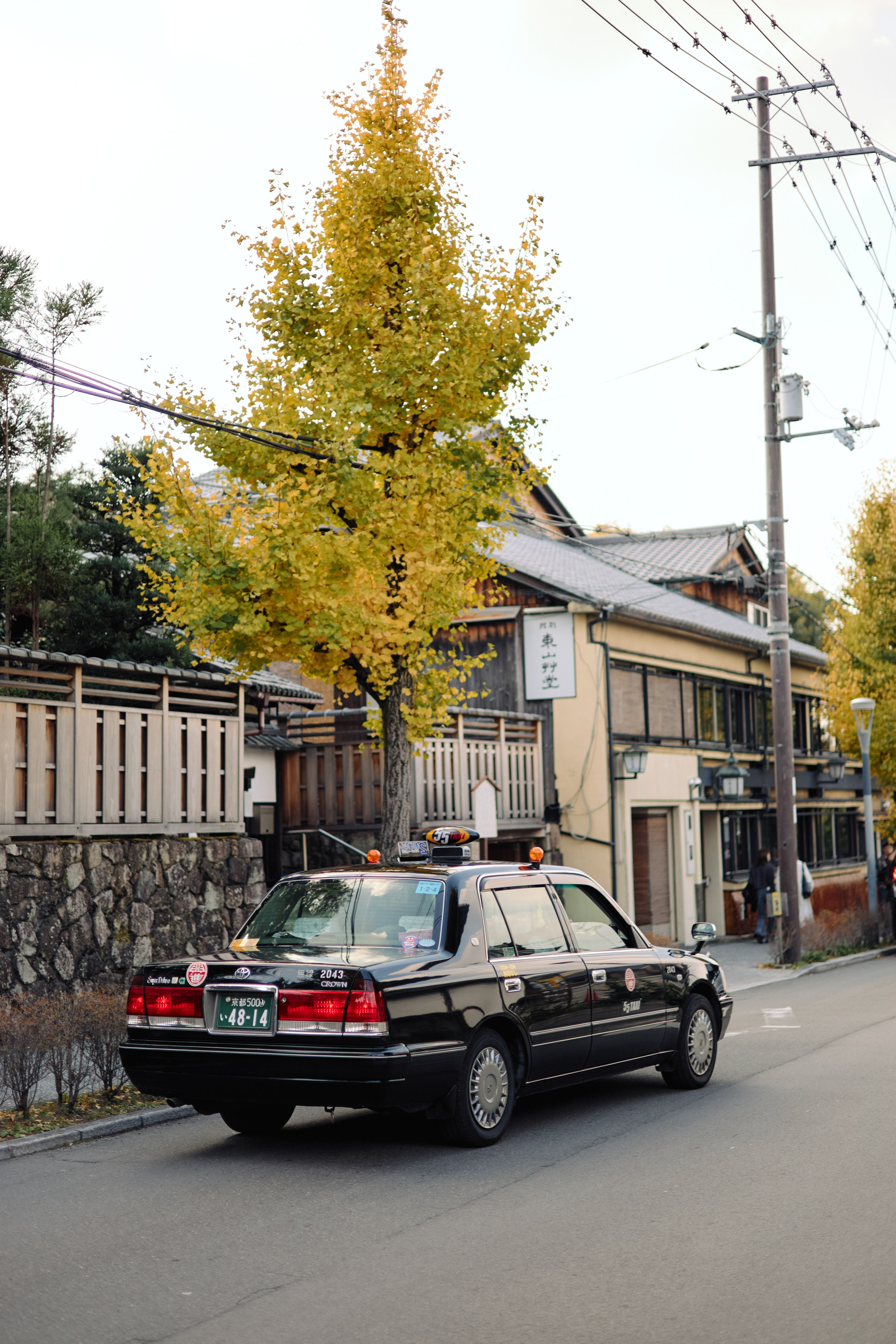 Япония. Профессиональный Фотограф во Владимире, в Москве и в Суздале — Полина Романычева