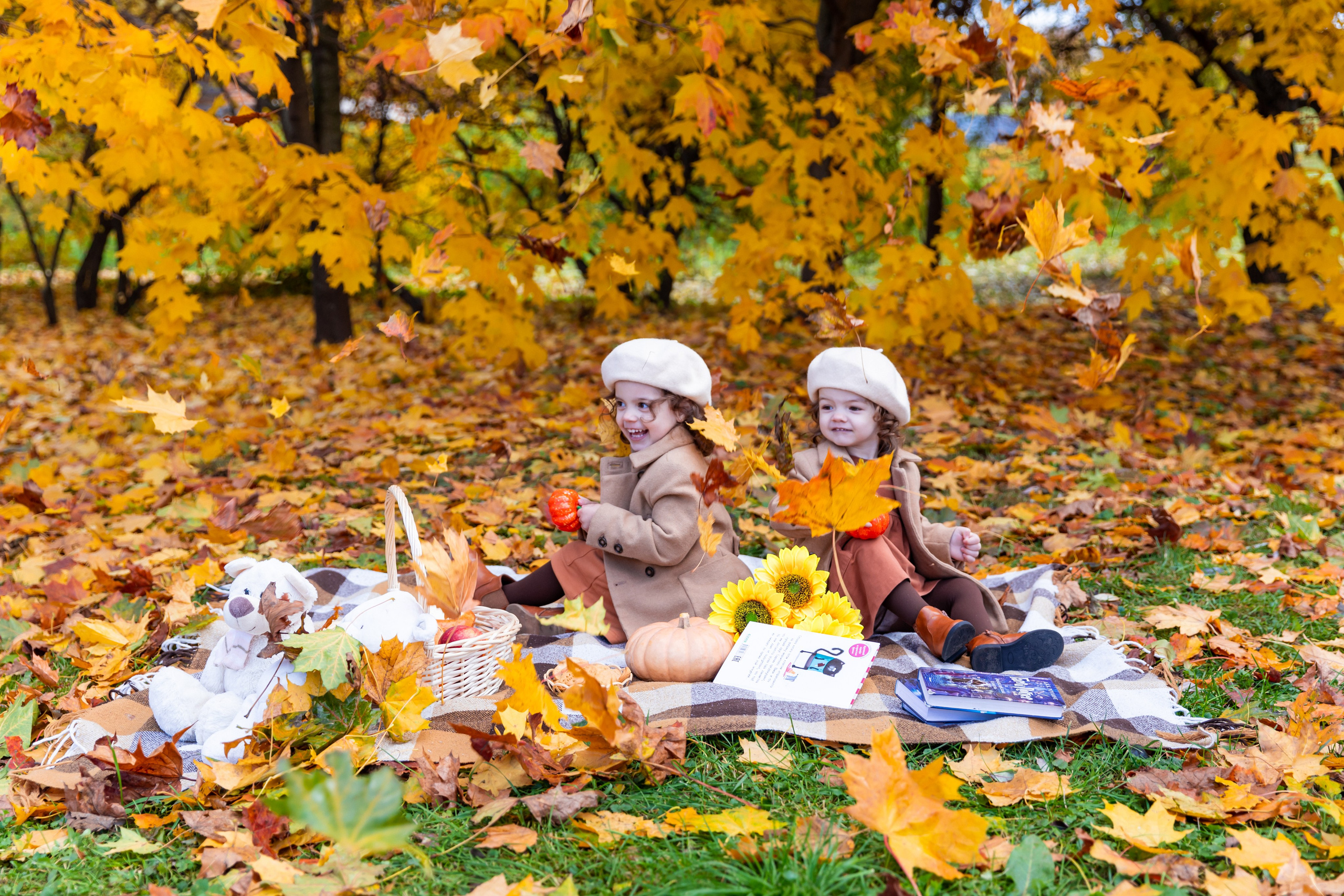 Осень в парке. Фотограф и Видеограф в Москве Дарья Арсентьева