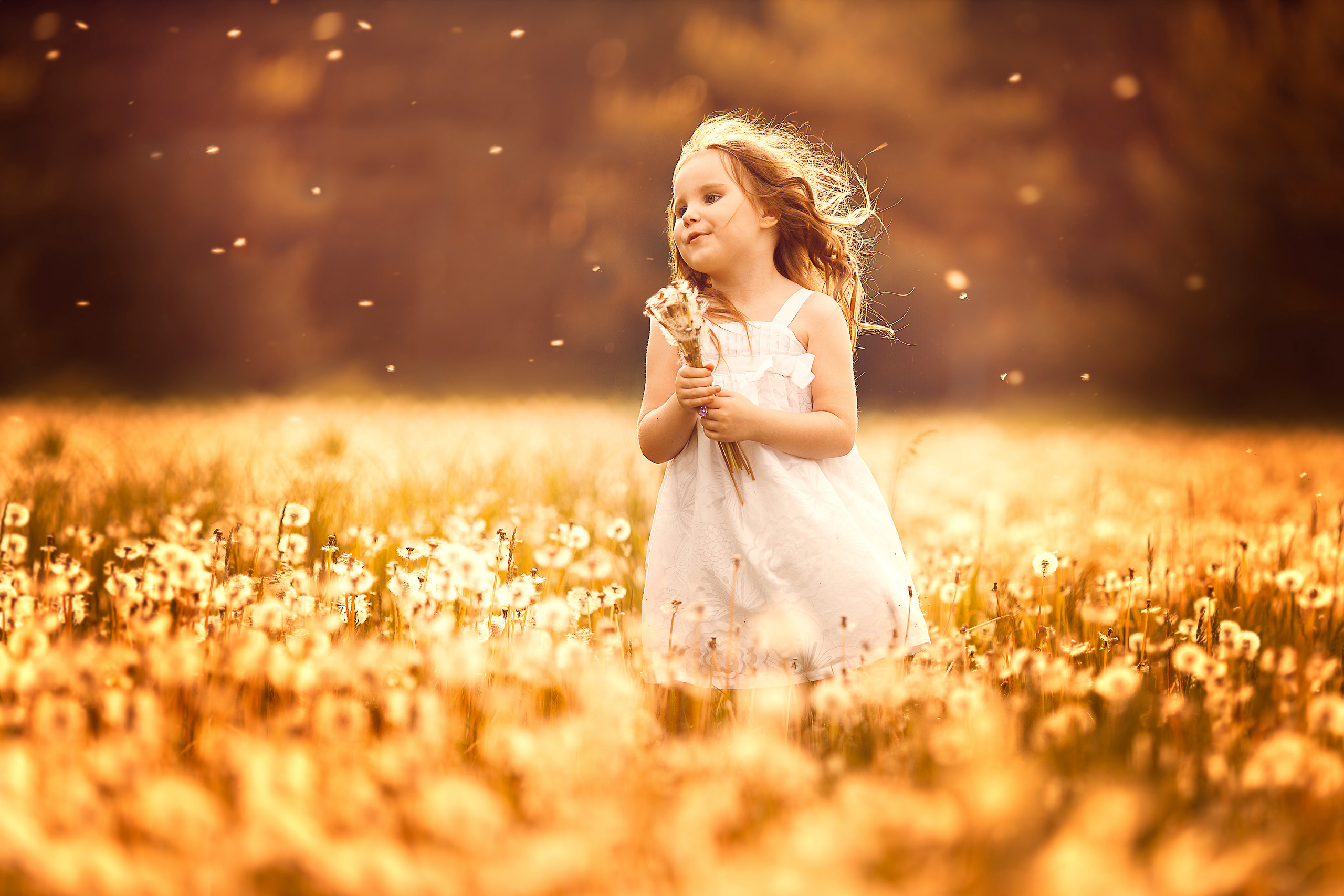 Детский, семейный фотограф и фотограф женского портрета Наталья Мороз