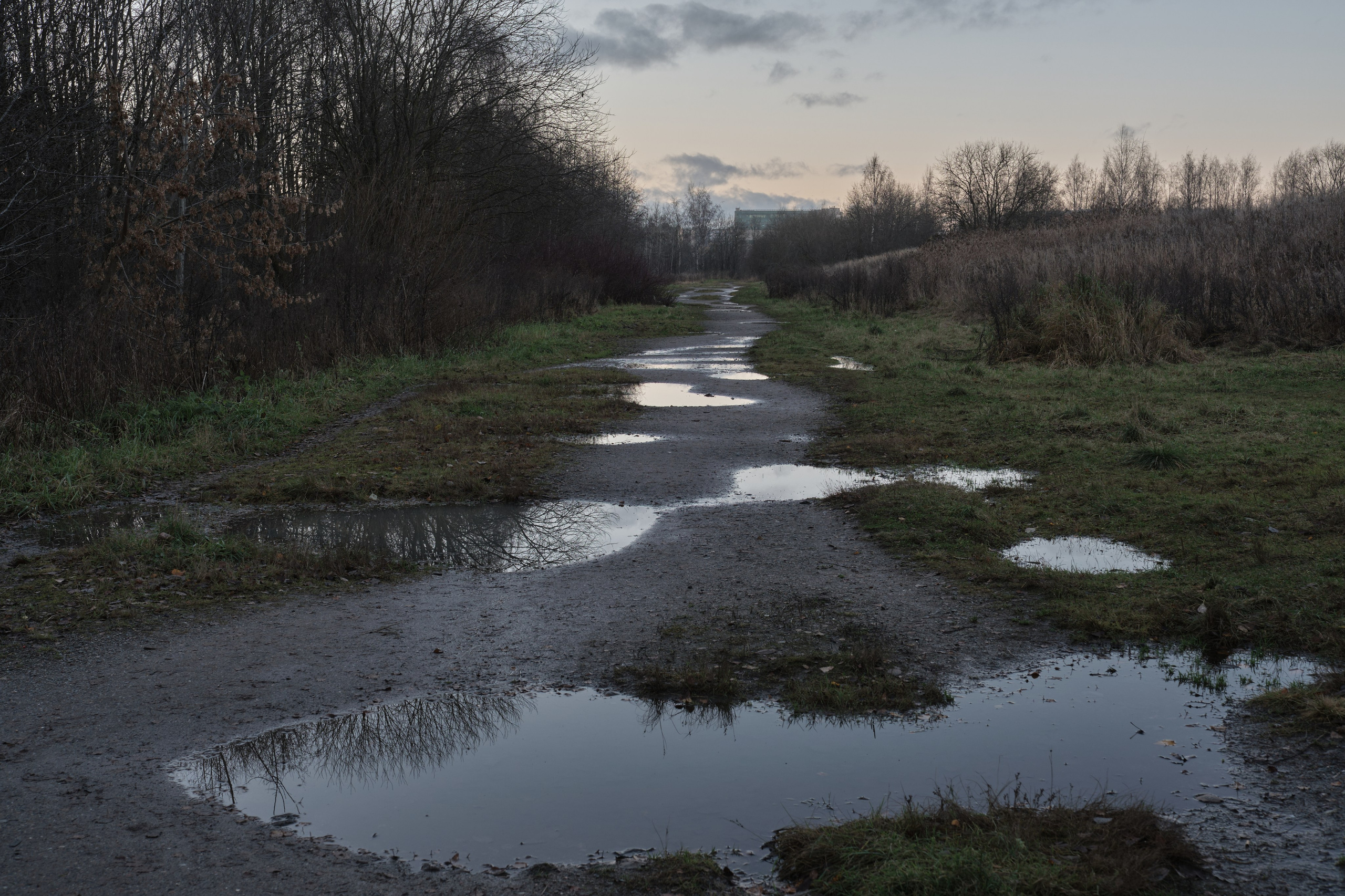Городской пейзаж — deadpan | Филипп Линзин. Репортажный и портретный фотограф в Санкт-Петербурге Филипп Линзин