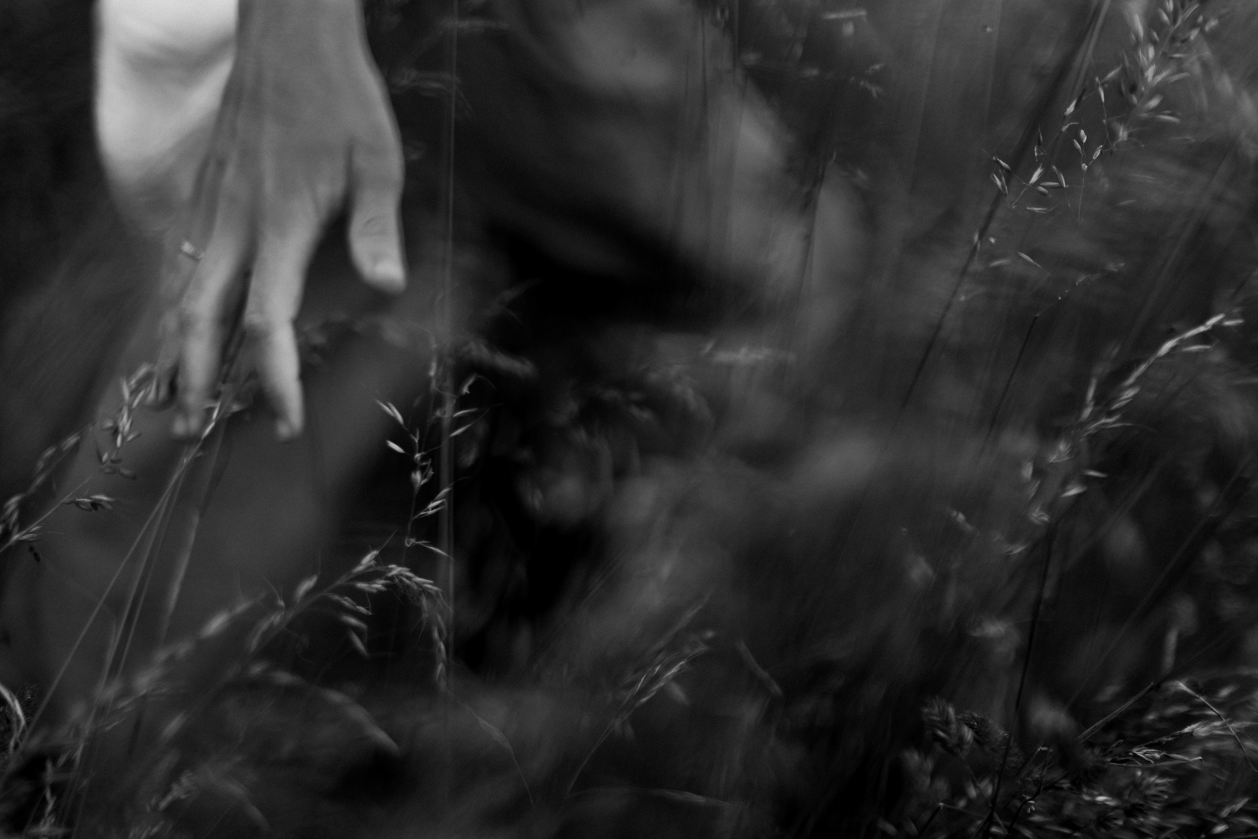 Филип и Наталья. Свадебный и портретный фотограф