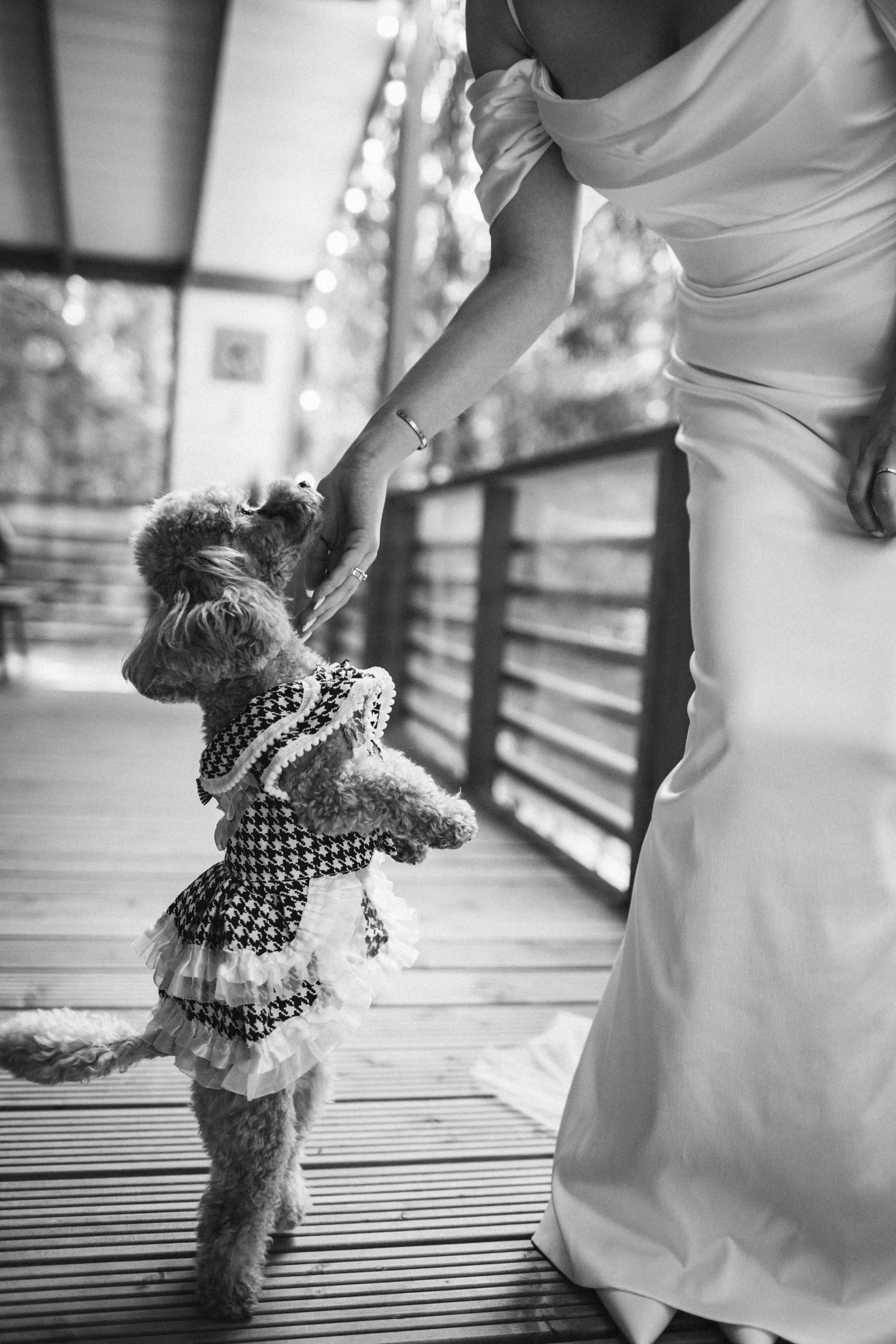 K & О. Свадебный фотограф Юлия Шторм