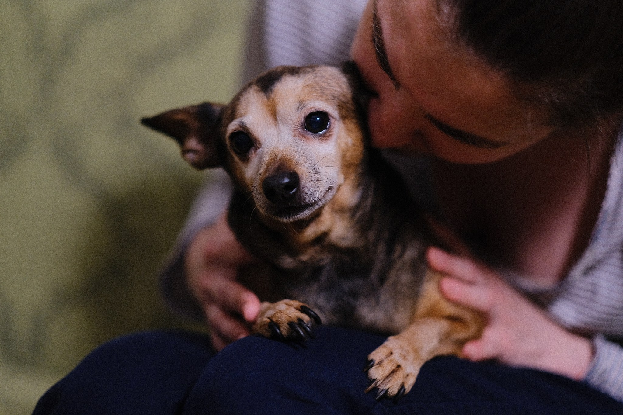 Лиса, Рада и их люди. Дмитрий Бречалов