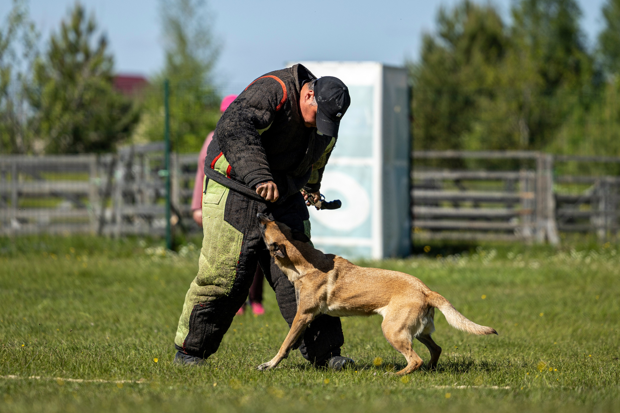 Испытания по мондьорингу в Нижнем Новгороде. Фотограф-анималист Анна Маринич