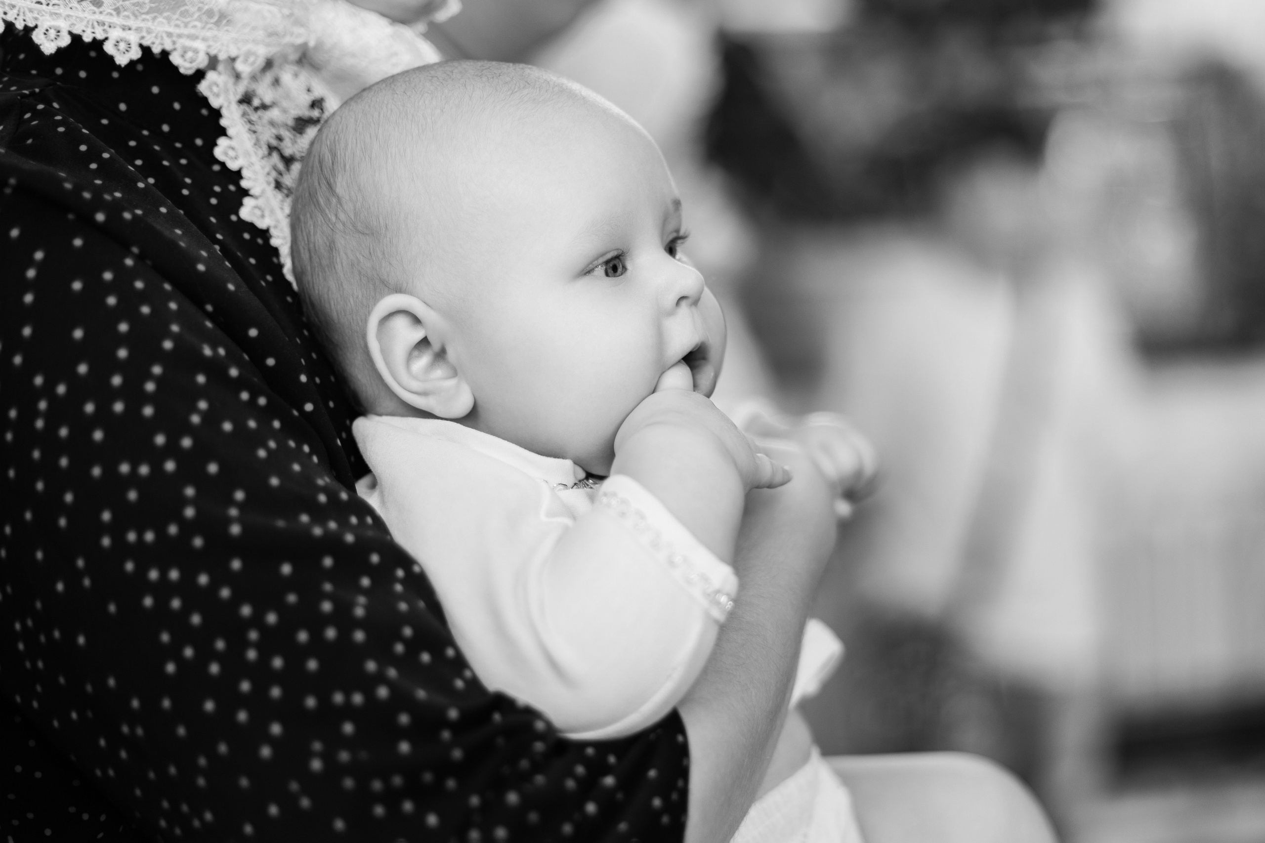 Вероника. Свадебный и семейный фотограф в городе Воронеж. Ирина Боловина