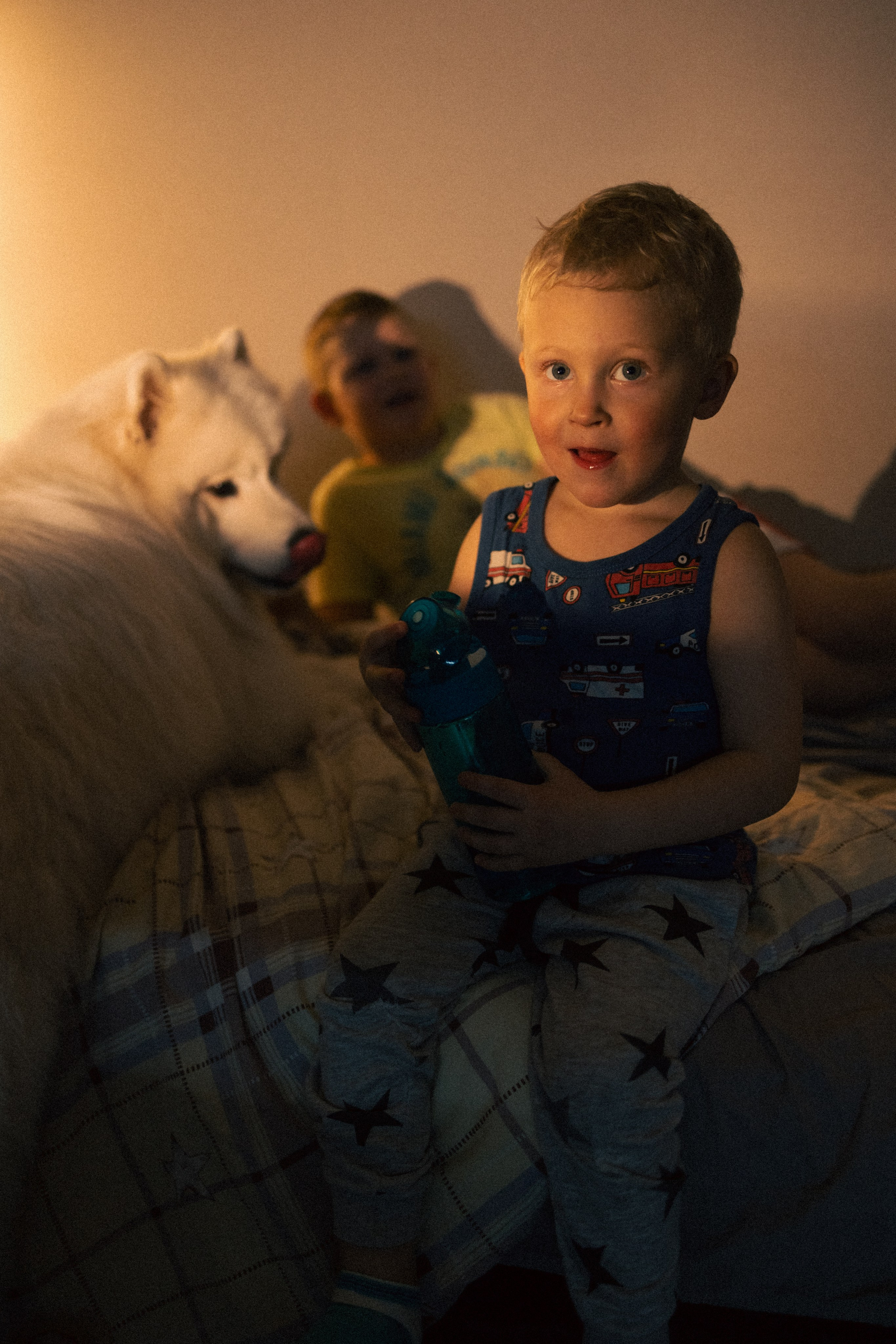 Мальчишки. Фотограф анималист в Москве Майорова Евгения