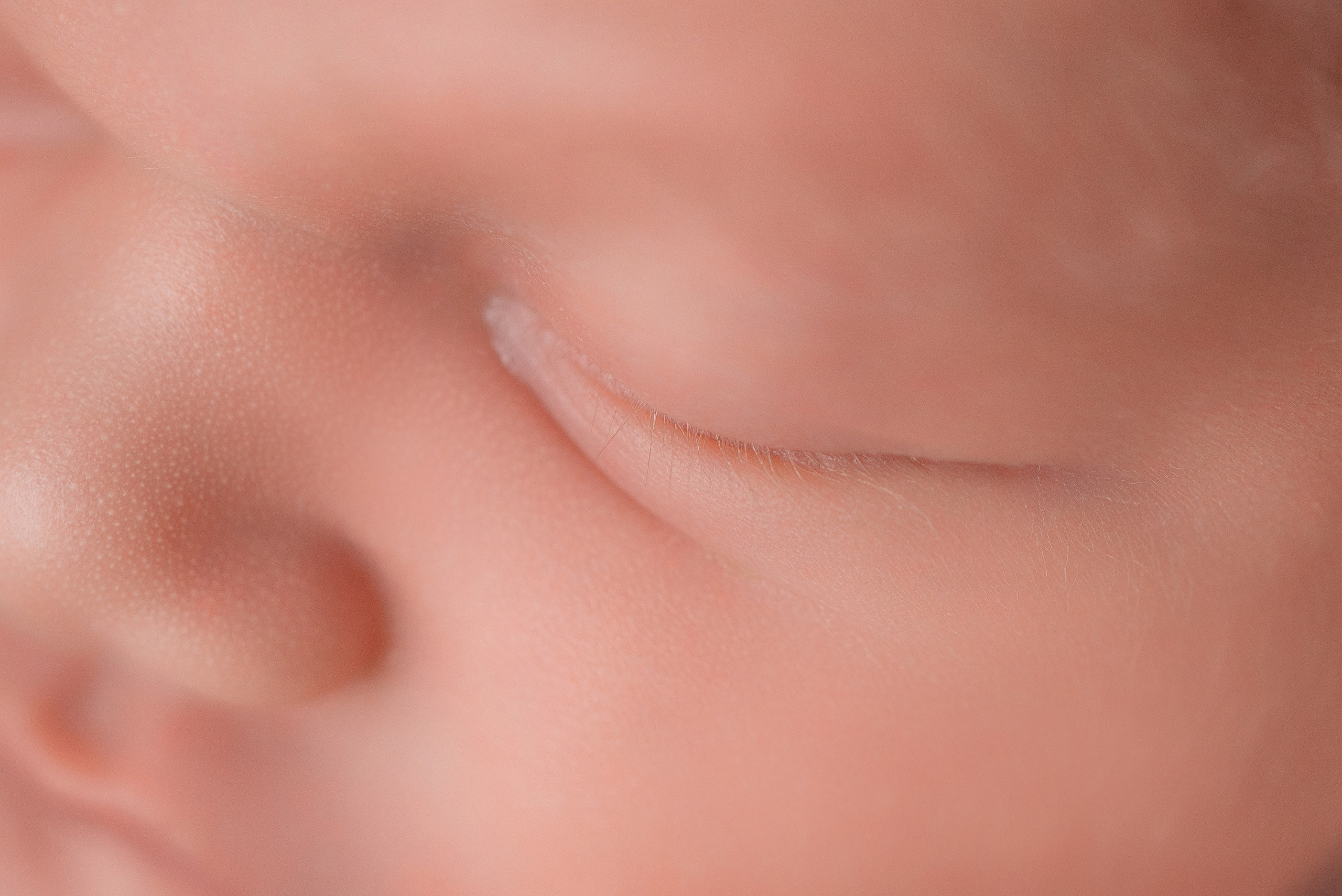 Даша. Фотограф новорожденных Белгород