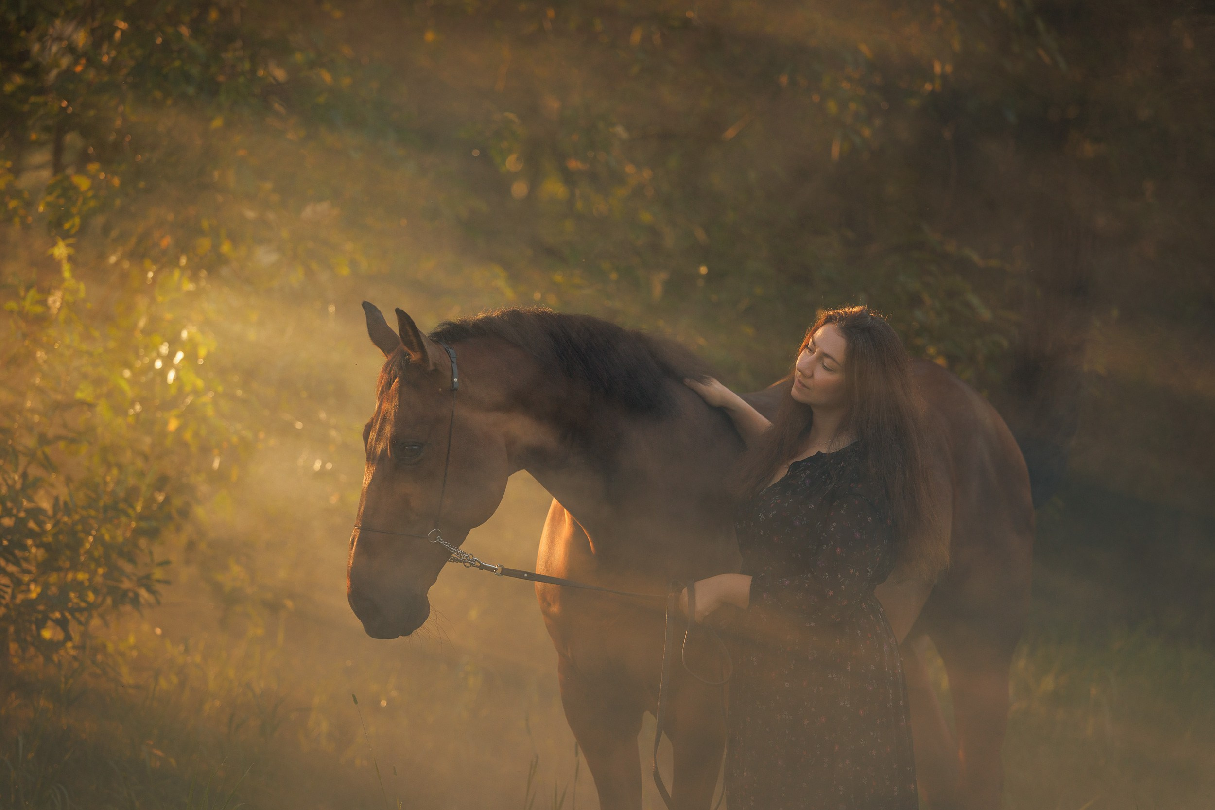 Лошади. Фотограф Анастасия Ветковская, Москва