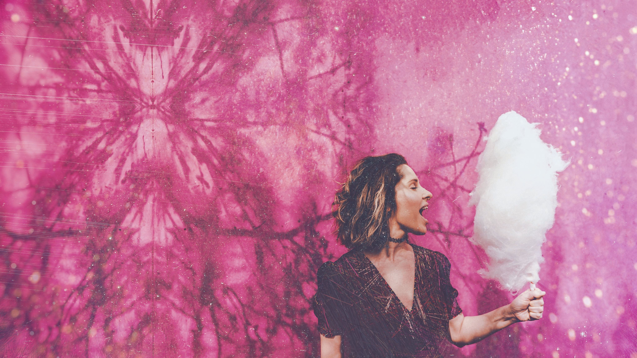 Portfolio. The Andris