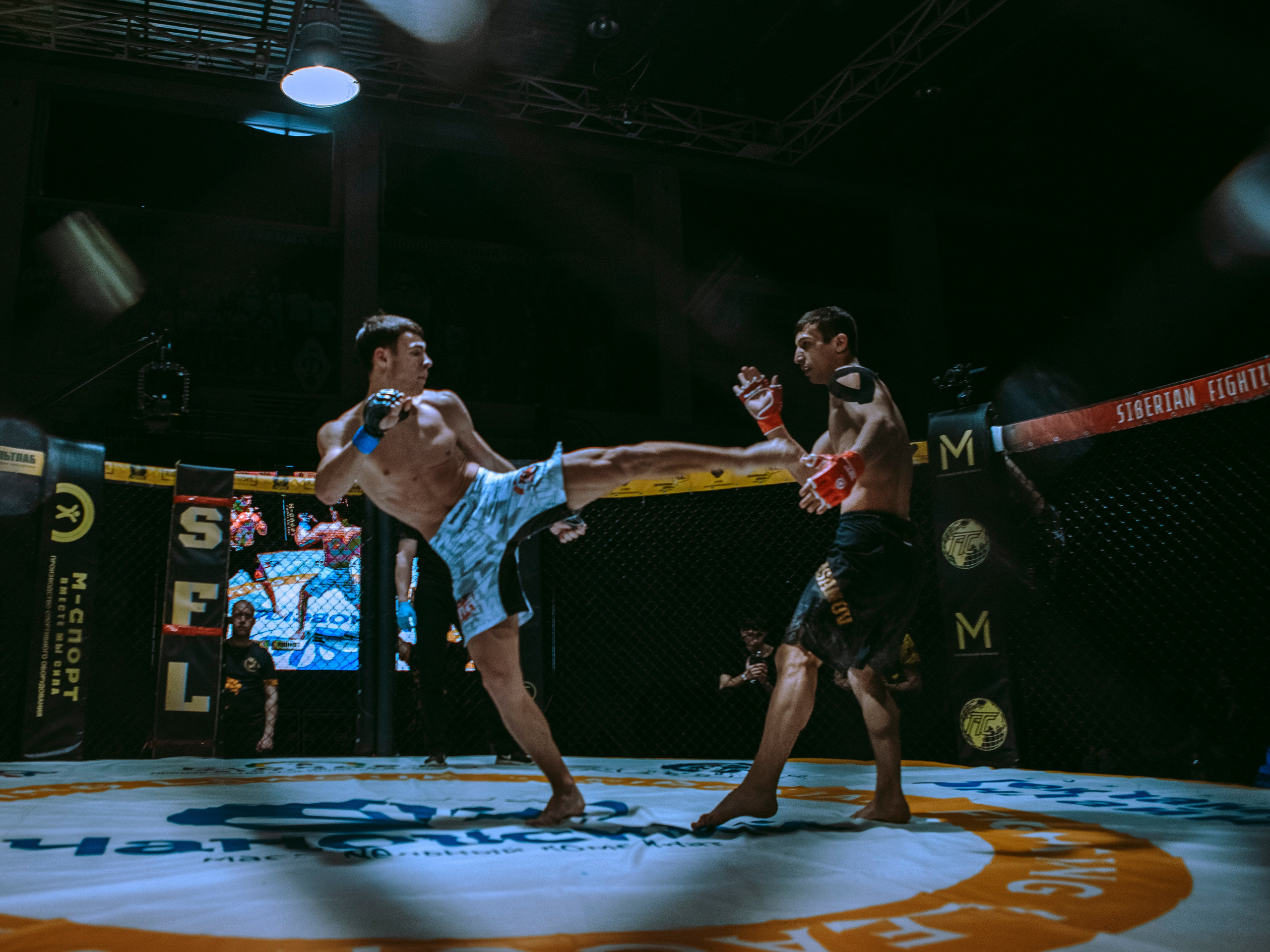 SFL 17 | Siberian Fighting League. Портретный фотограф в Москве Дарья Цезария