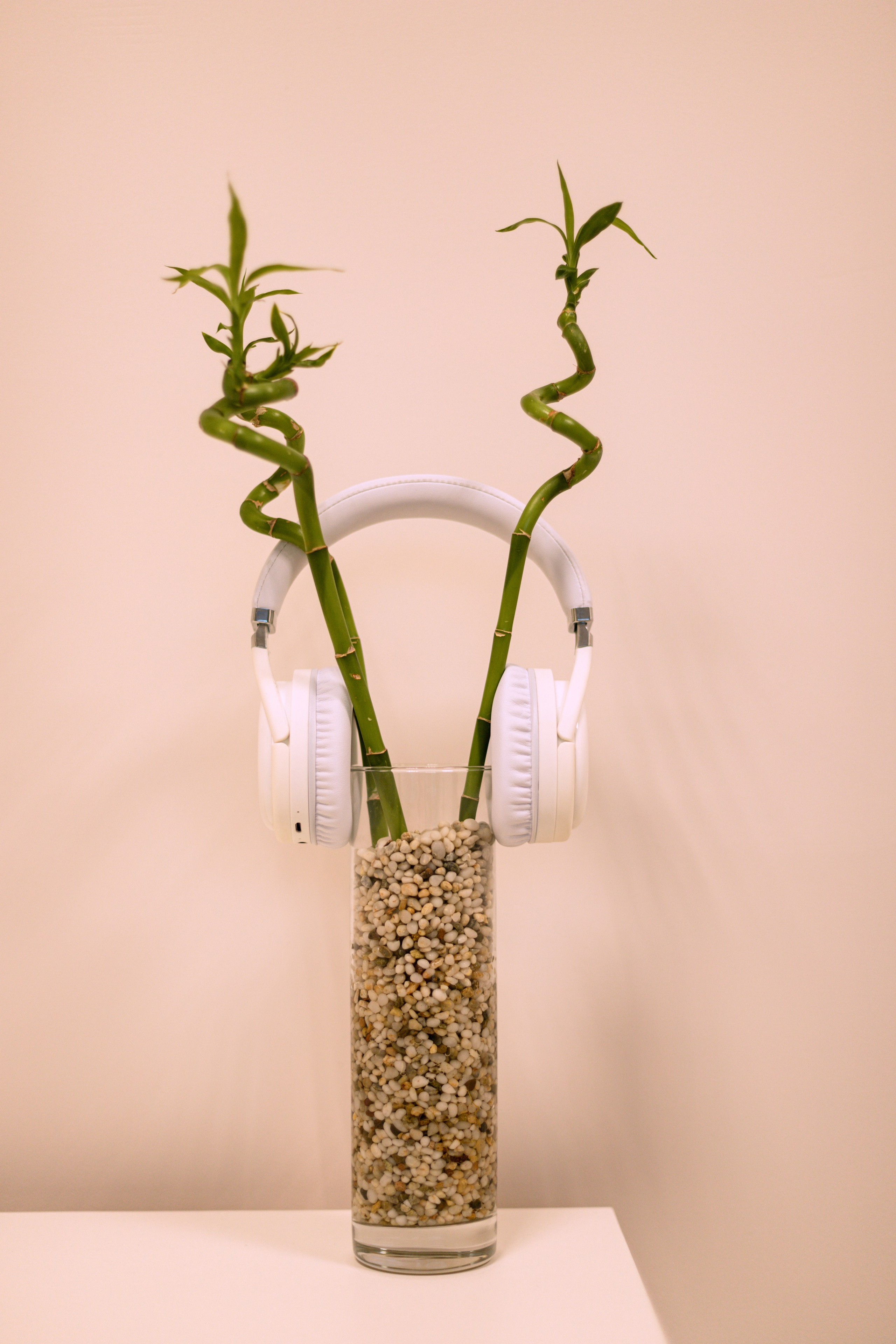 Для центра VR медитаций. Фотограф в Краснодаре и Краснодарском Крае