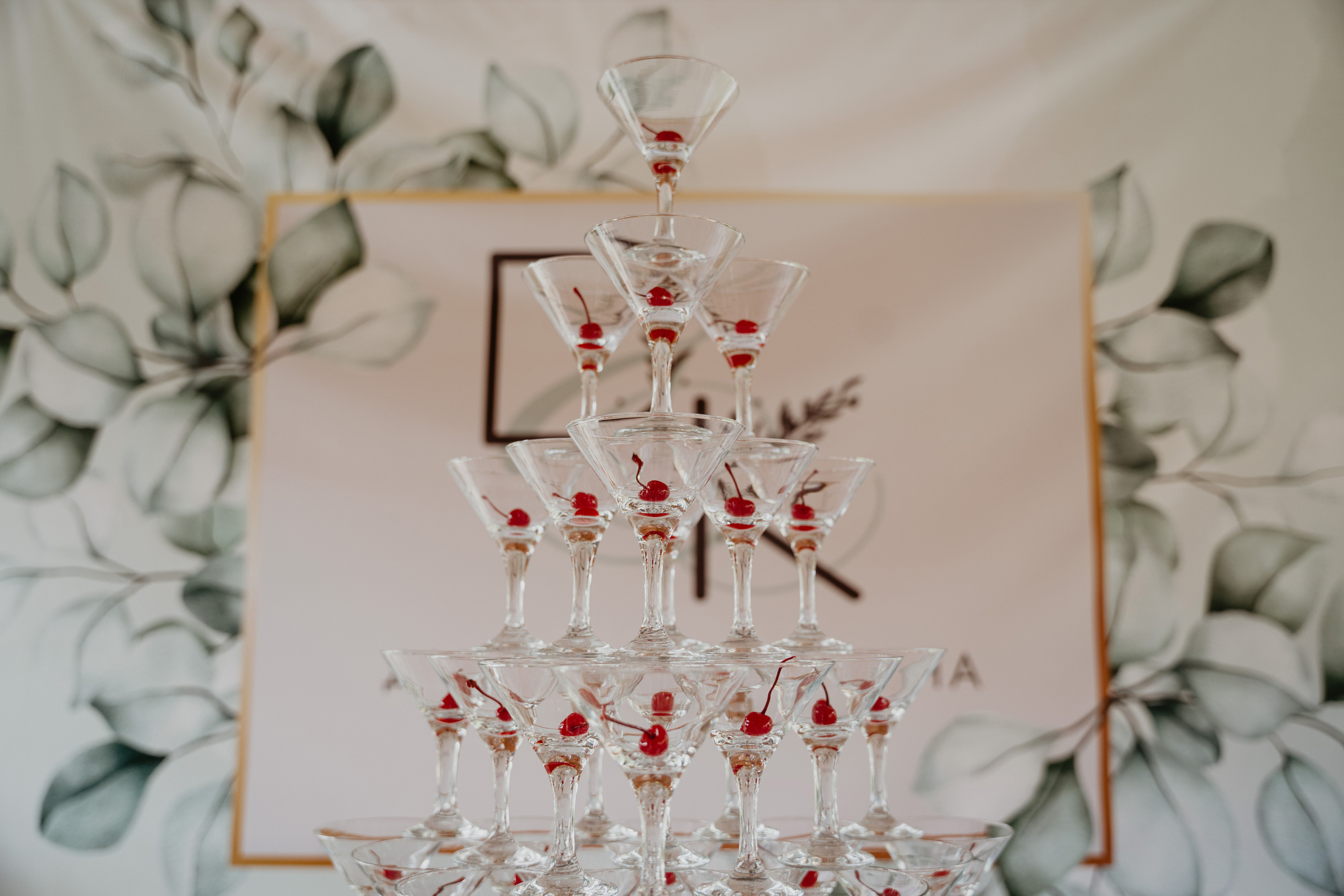 D&K. Фотограф Очагов Дмитрий Ярославль, Москва, Переславль-Залесский