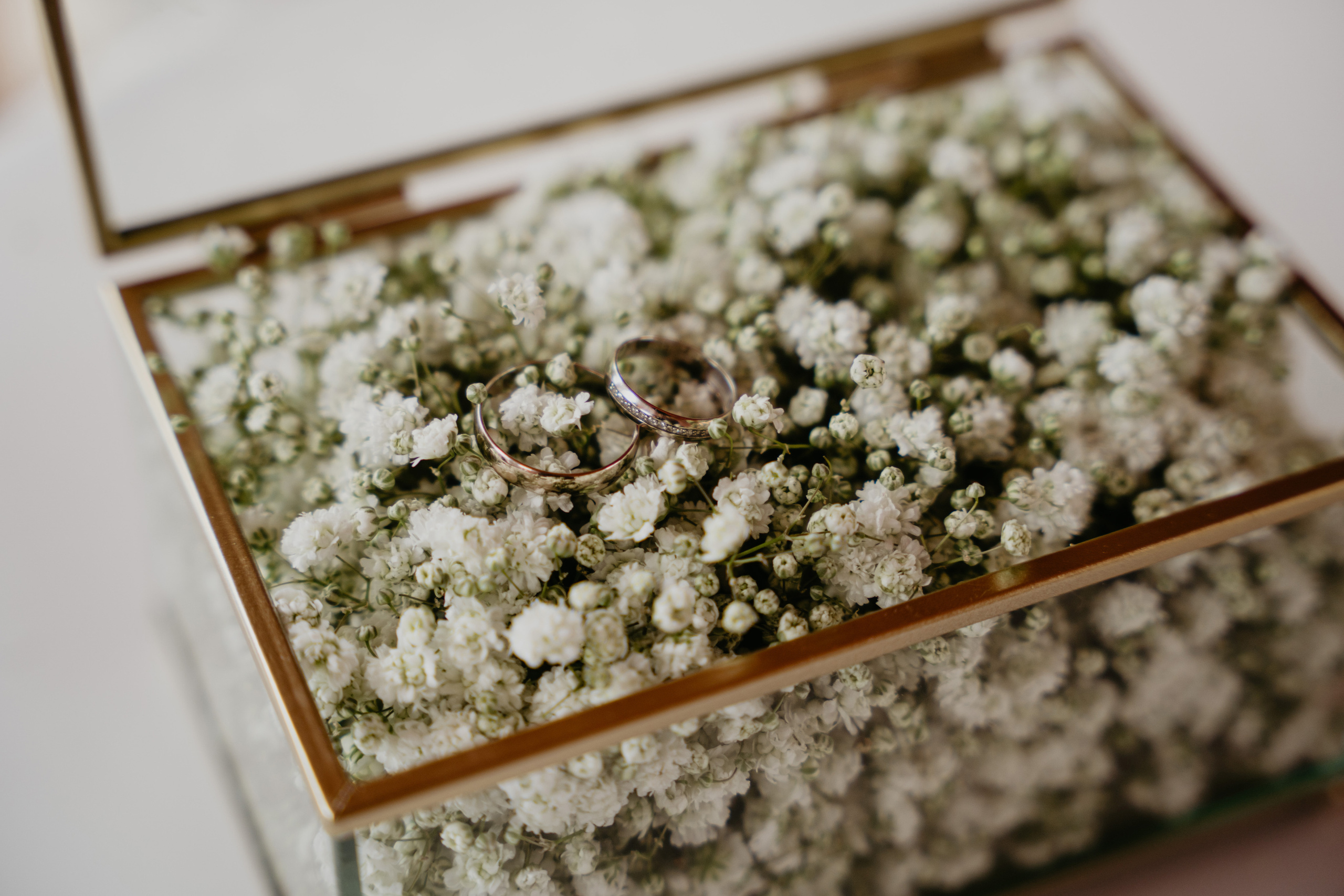 D&K. Фотограф Очагов Дмитрий Ярославль, Москва, Переславль-Залесский