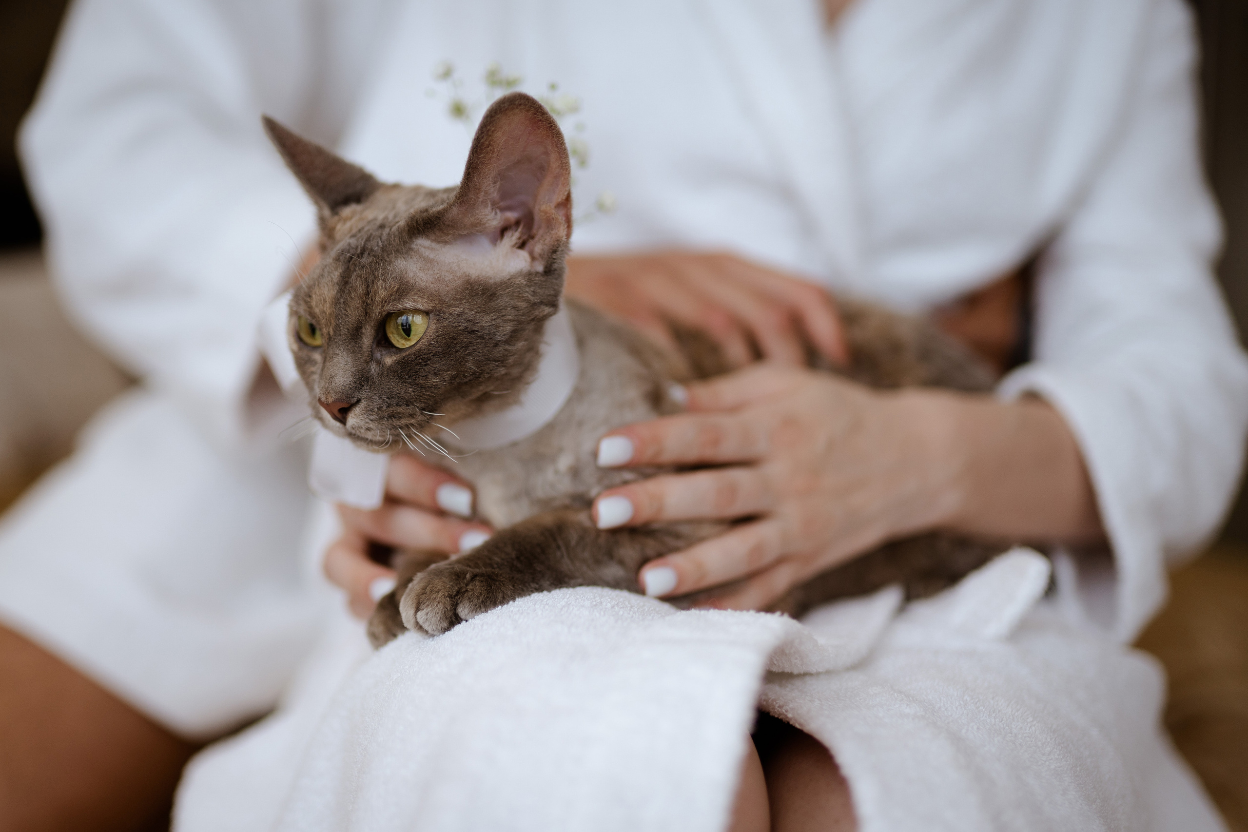 D&K. Фотограф Очагов Дмитрий Ярославль, Москва, Переславль-Залесский