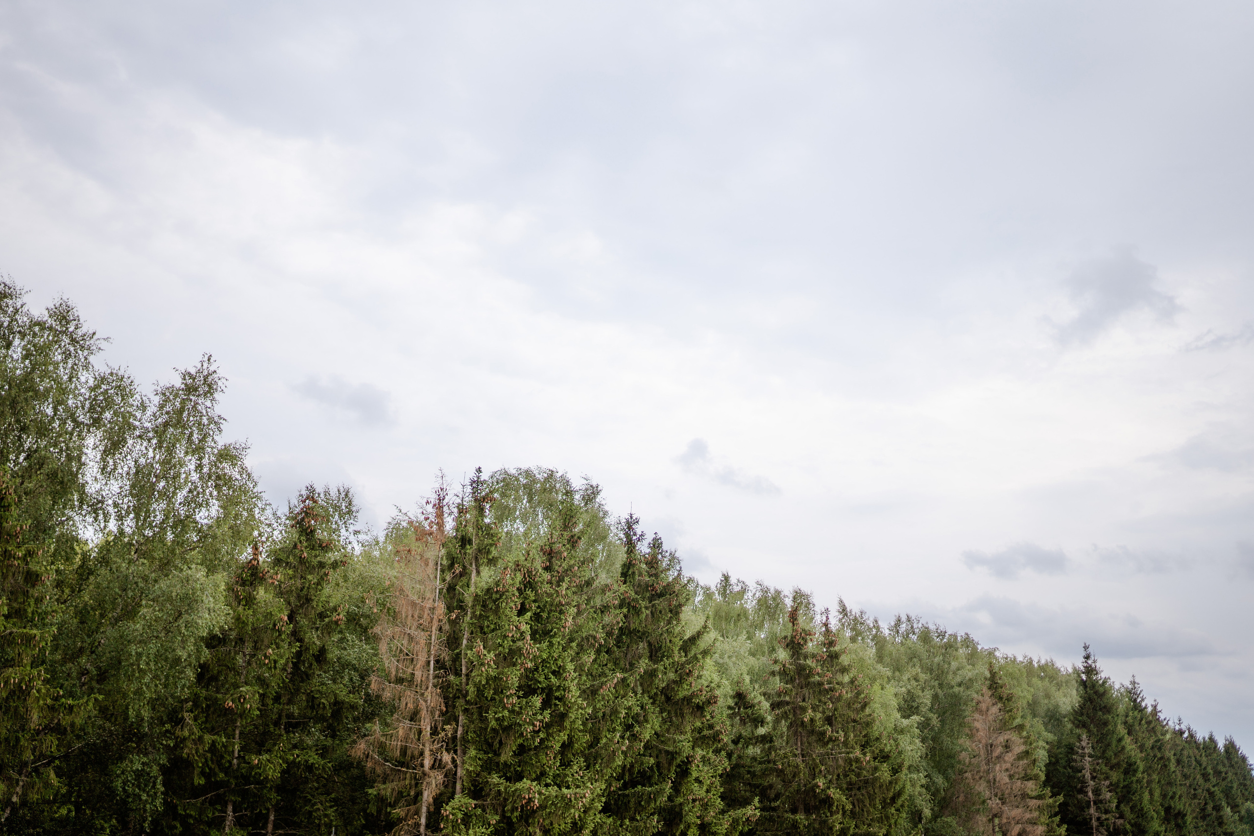 D&K. Фотограф Очагов Дмитрий Ярославль, Москва, Переславль-Залесский