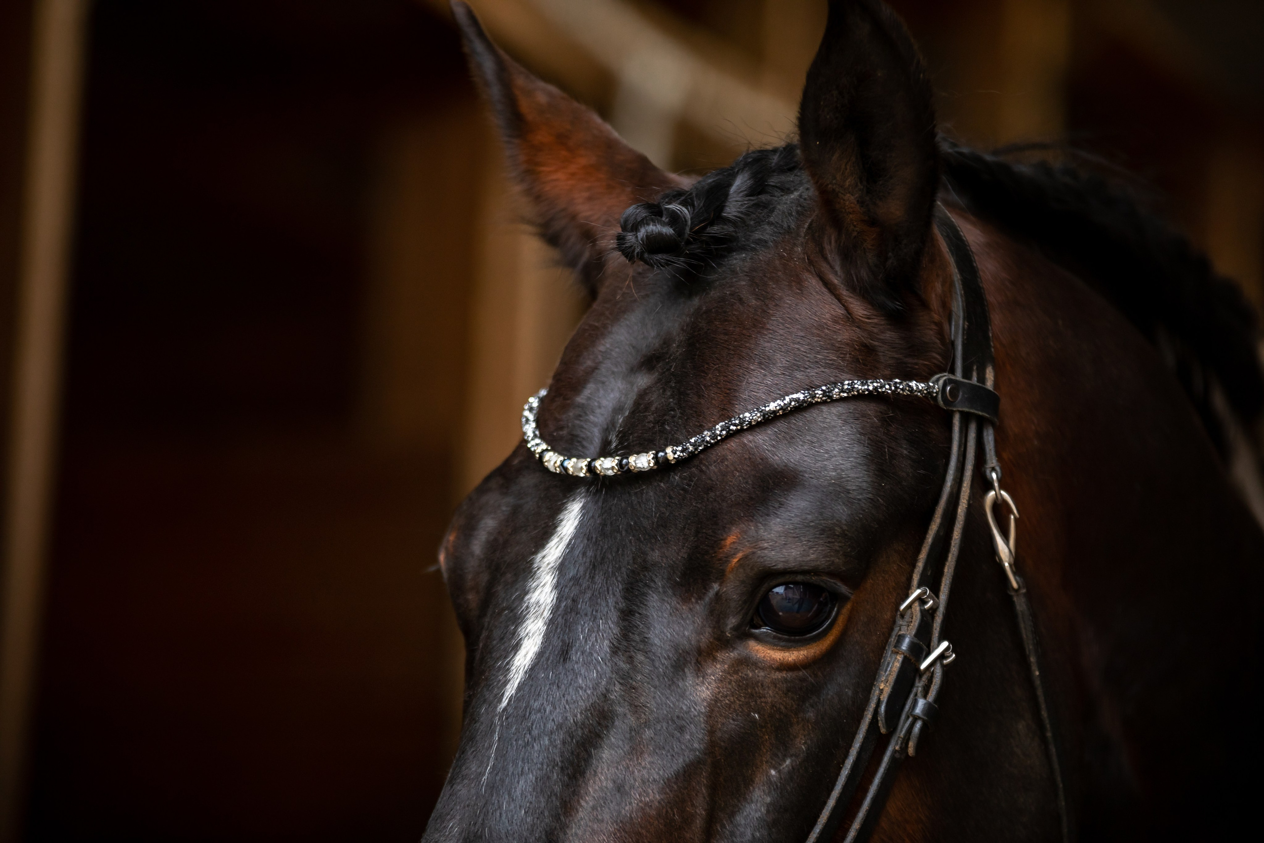 Гардарика. Ася Пчелинцева, фотограф в СПб и ЛО