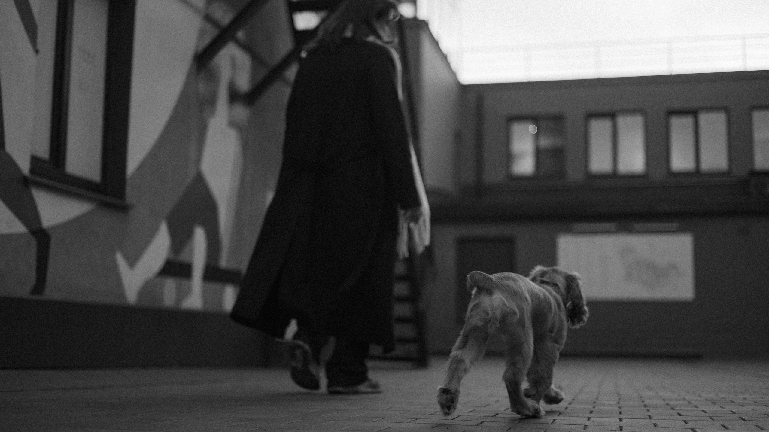 Аня, Андрей и Юта. Фотограф-анималист Богданова Полина