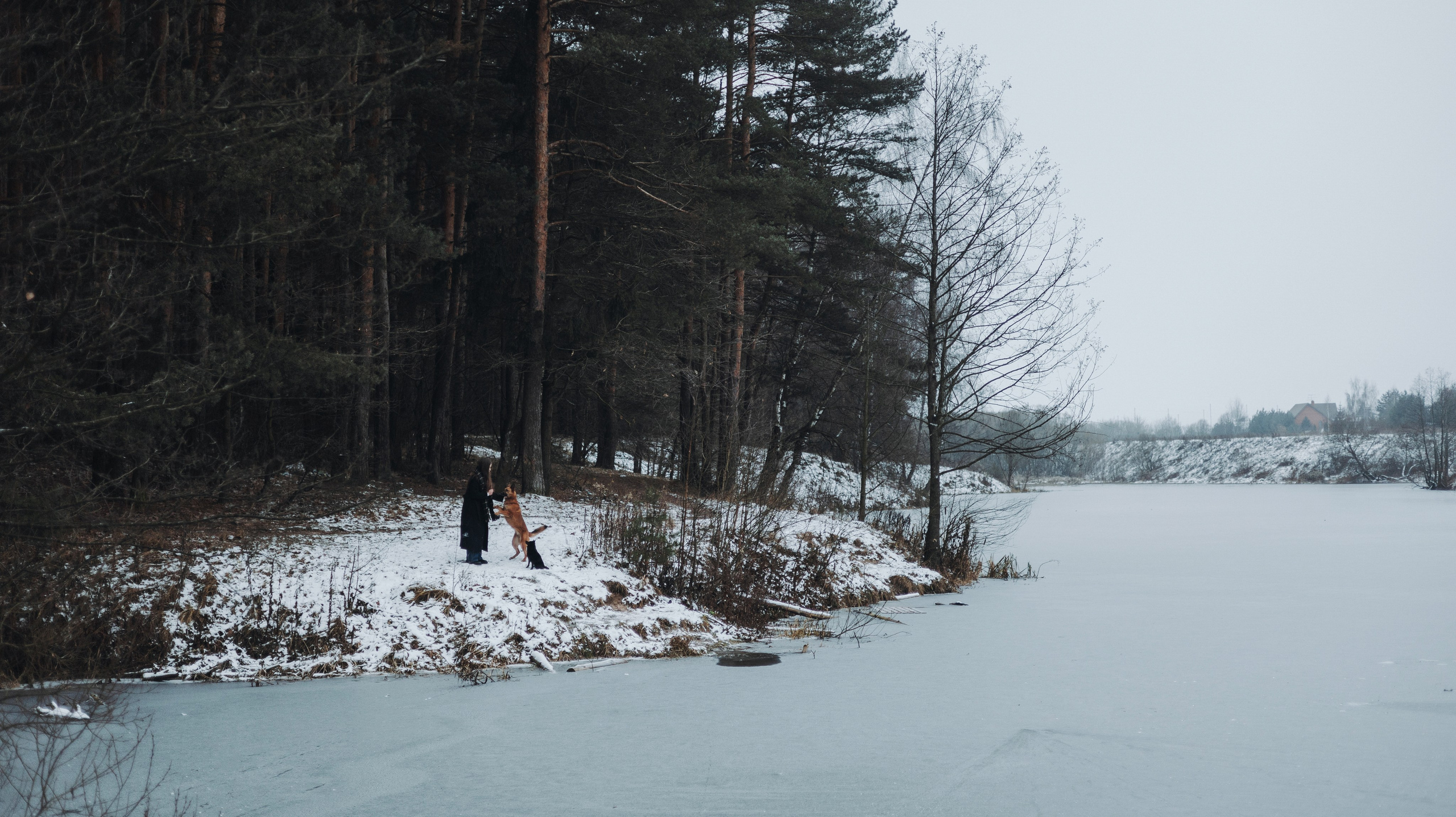 Юля, Лара и Йоми. Фотограф-анималист Богданова Полина