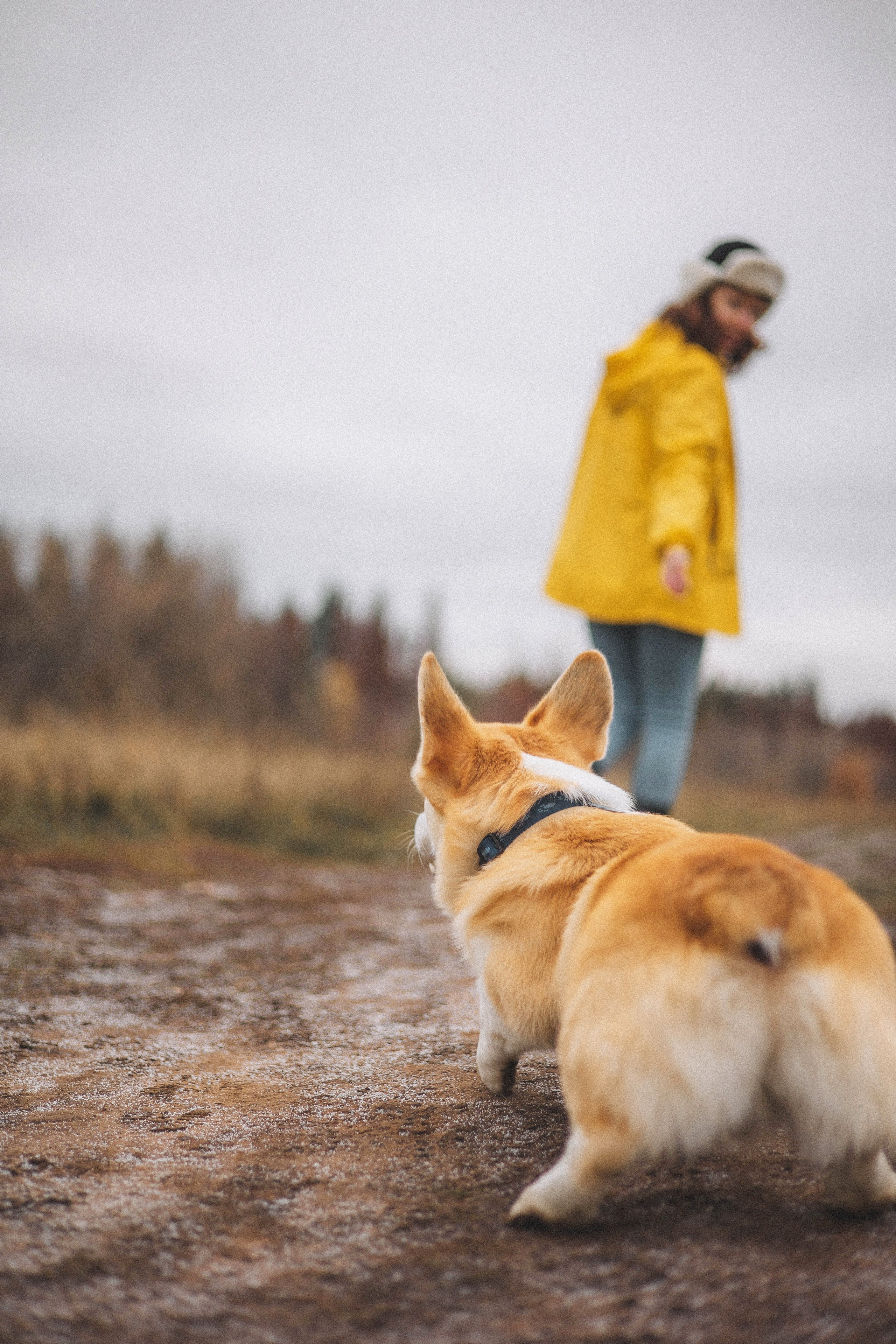 Юля и барри. Фотограф-анималист Богданова Полина