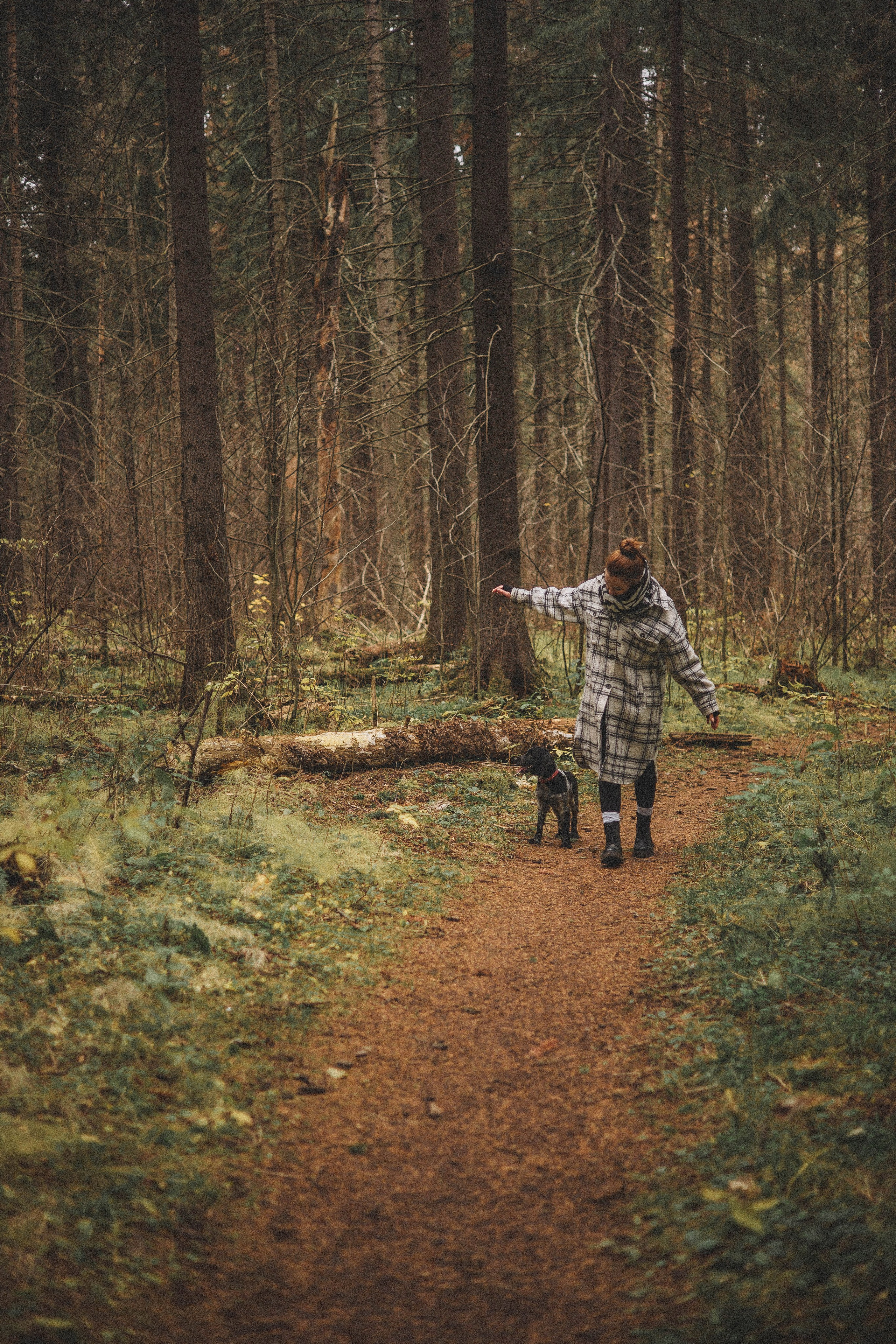 Вика и Ава. Фотограф-анималист Богданова Полина