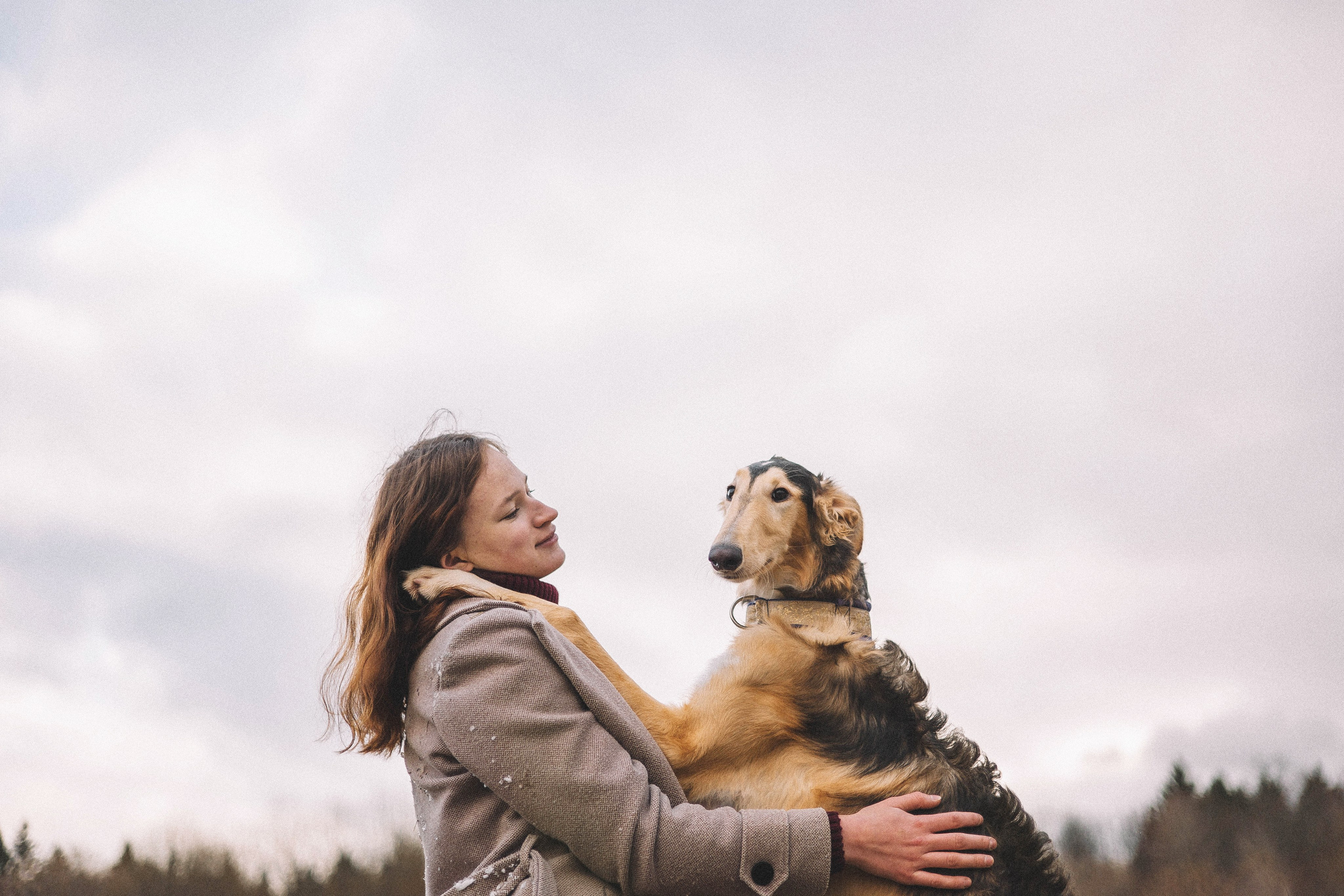 Алена, Леви и Микаса. Фотограф-анималист Богданова Полина