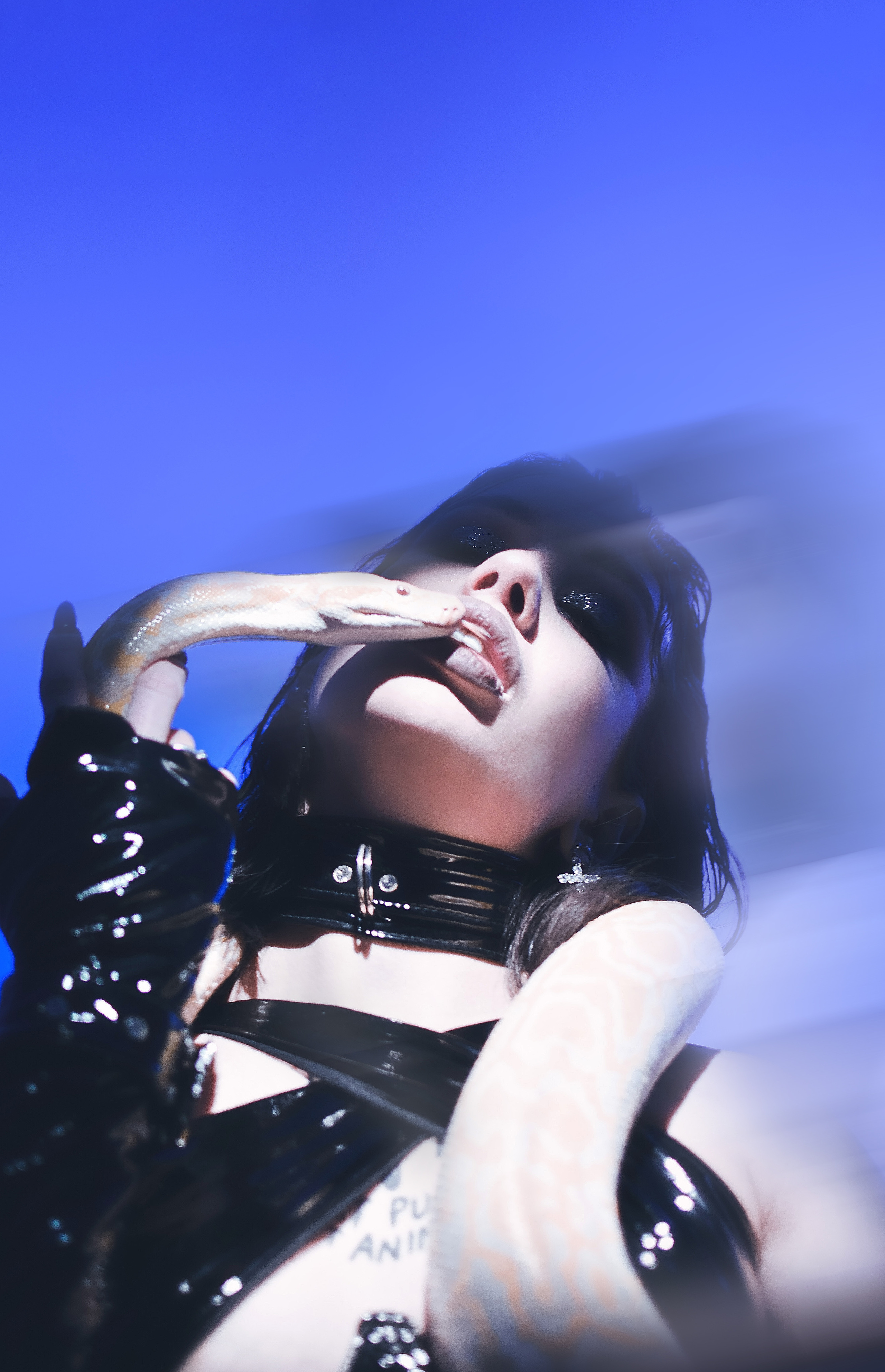 Съемка с питоном по имени Кай. Galchenok