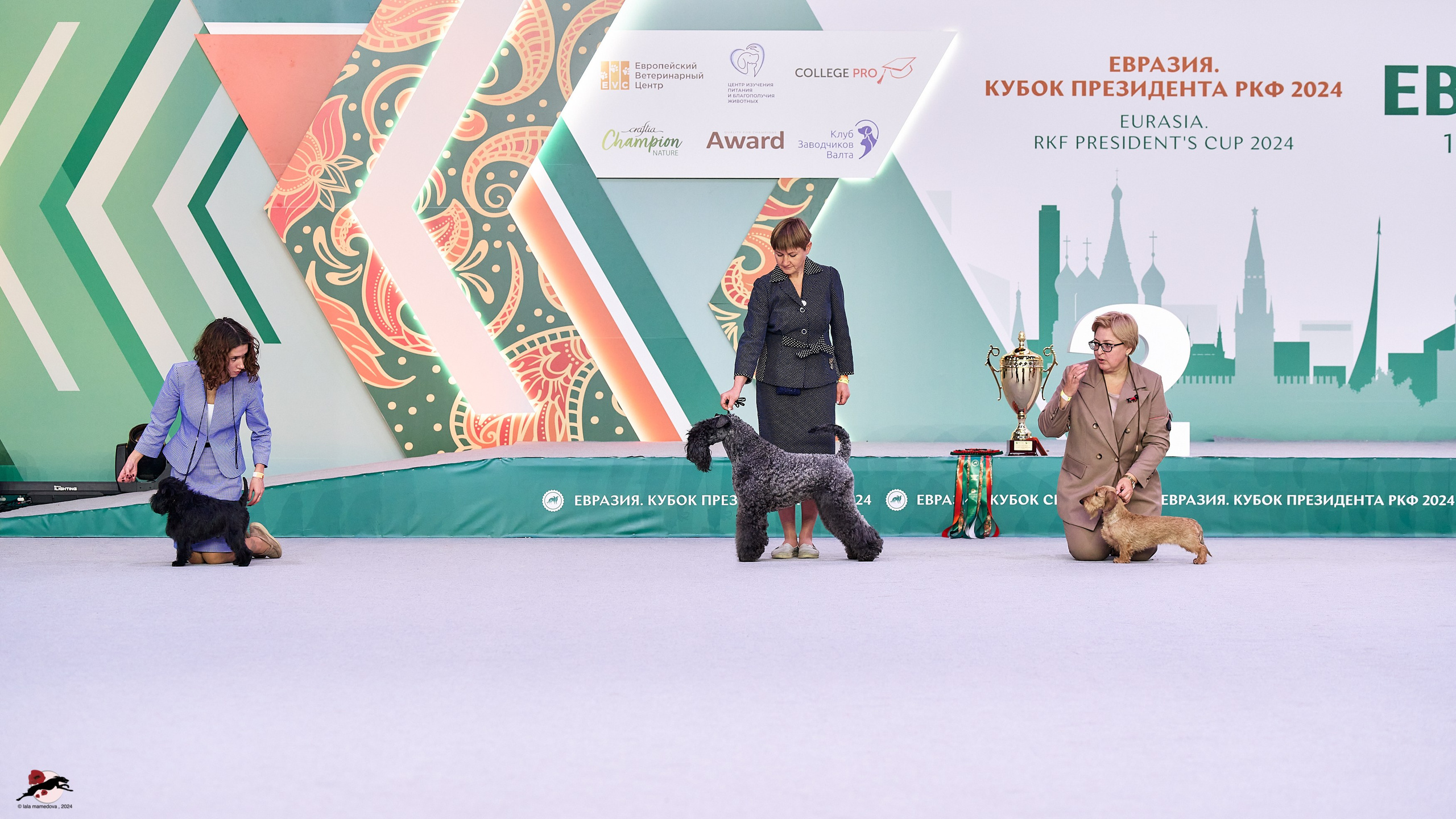 17.11.2024 «ЕВРАЗИЯ. КУБОК СНГ 2024»