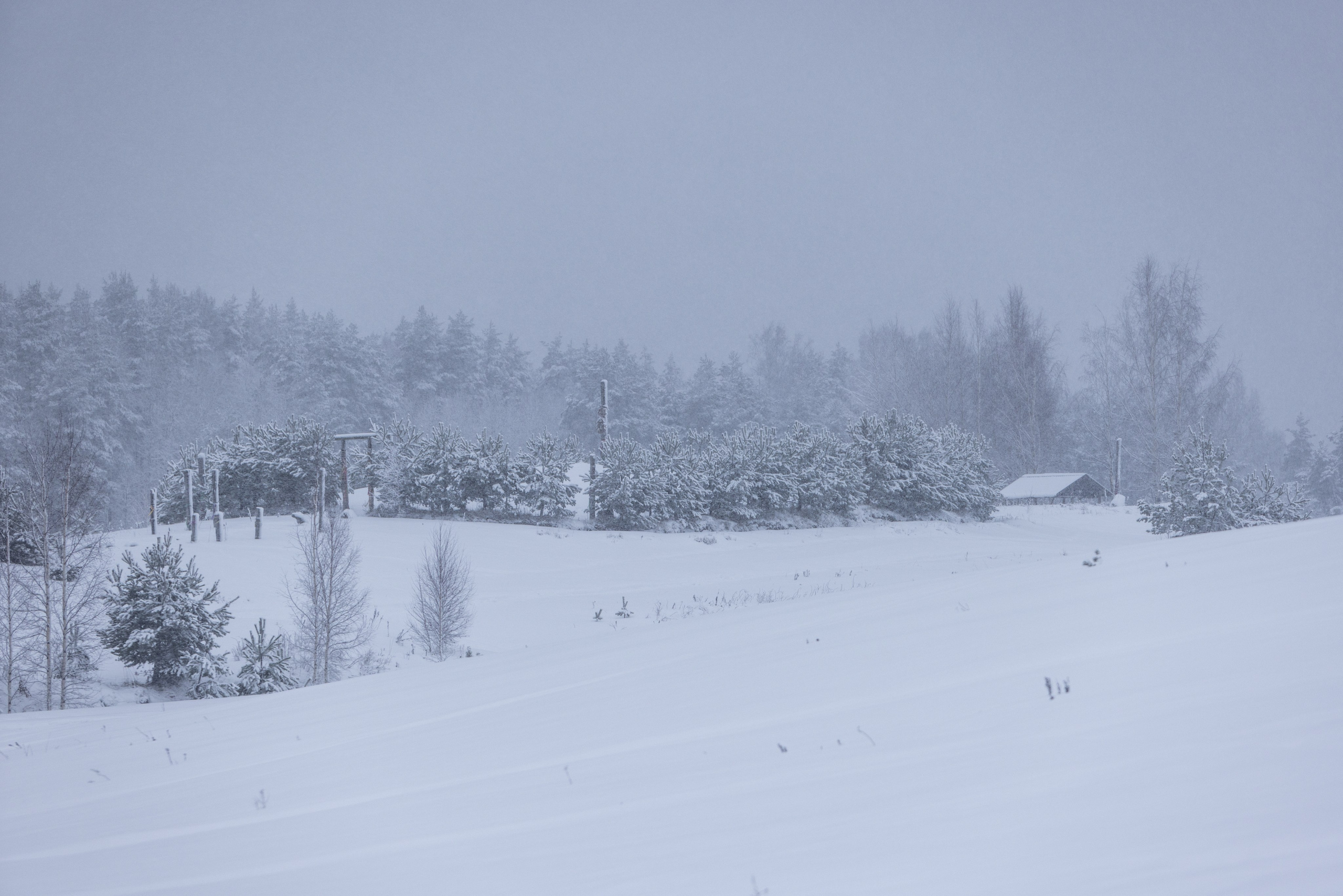 Зимние покатушки. Автомобильная фотография в Санкт-Петербурге