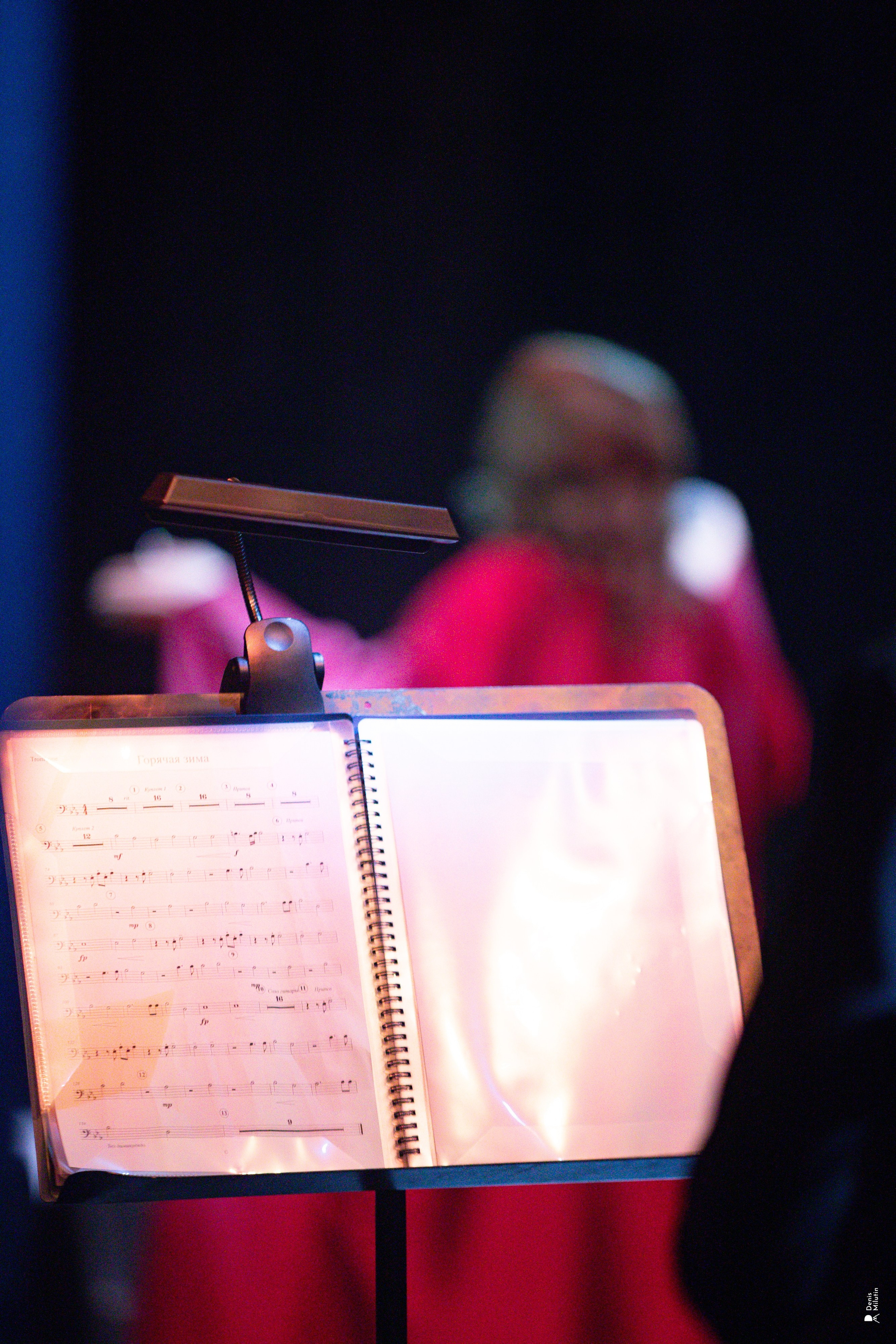 Тёплый концерт. Портретный фотограф Денис Милютин