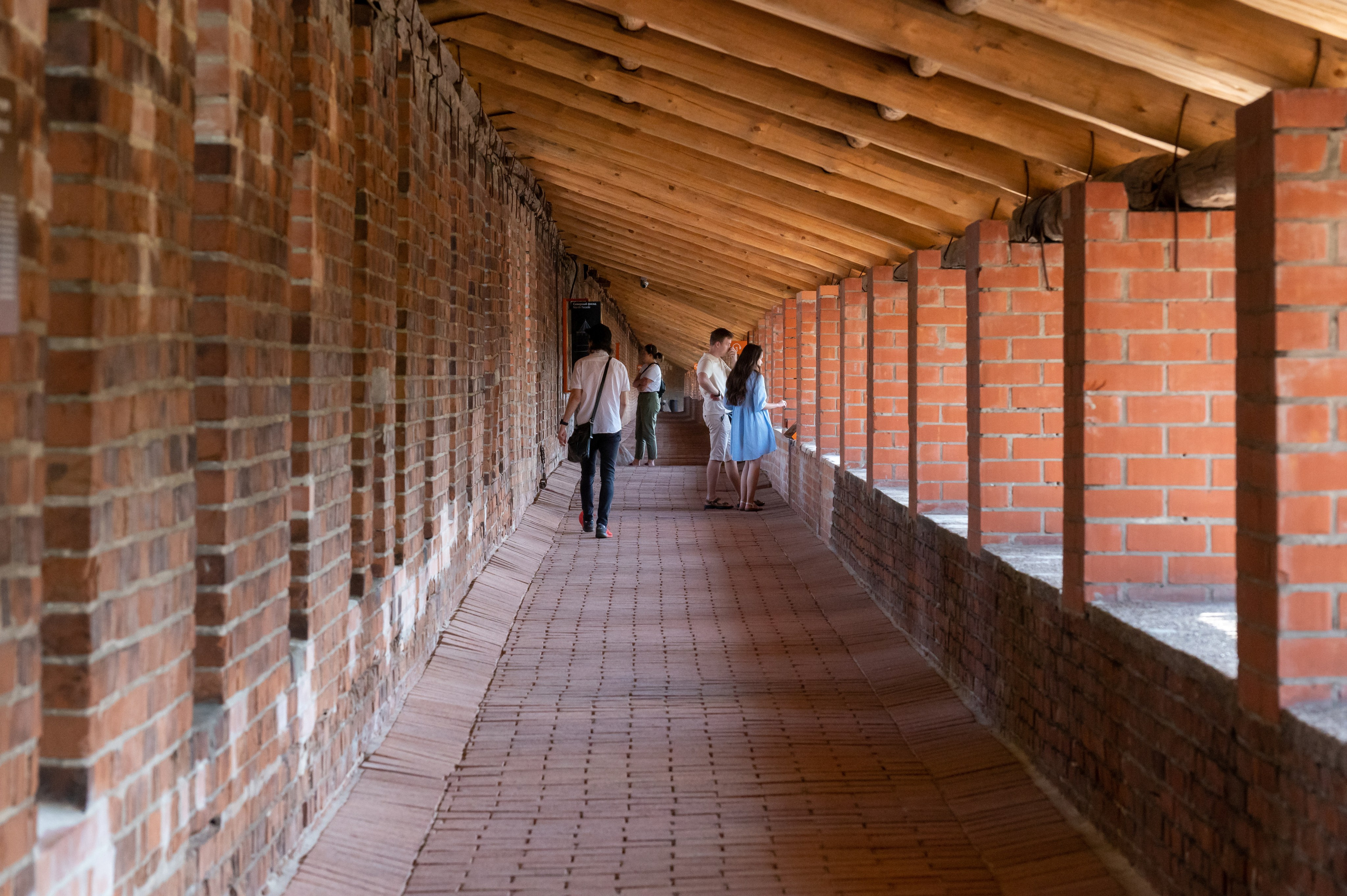 20230612-16 Нижний Новгород. Дмитрий Ремизов. Фотография, как хобби