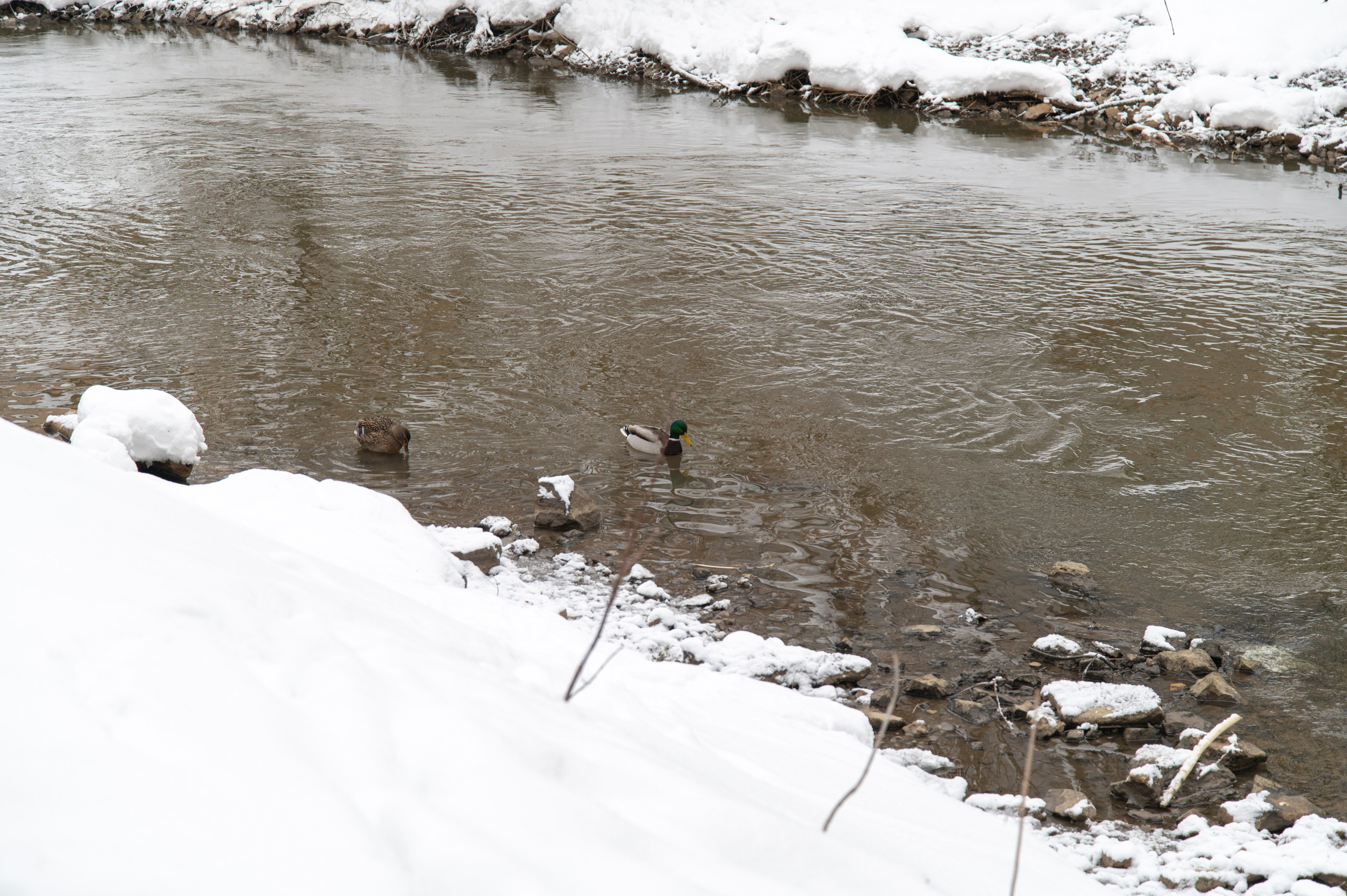 20240127 Ростокинский акведук. Дмитрий Ремизов. Фотография, как хобби