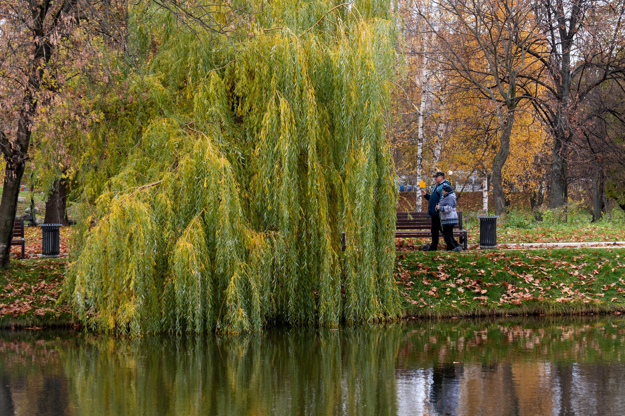 20221030 Новодевичий. Дмитрий Ремизов. Фотография, как хобби