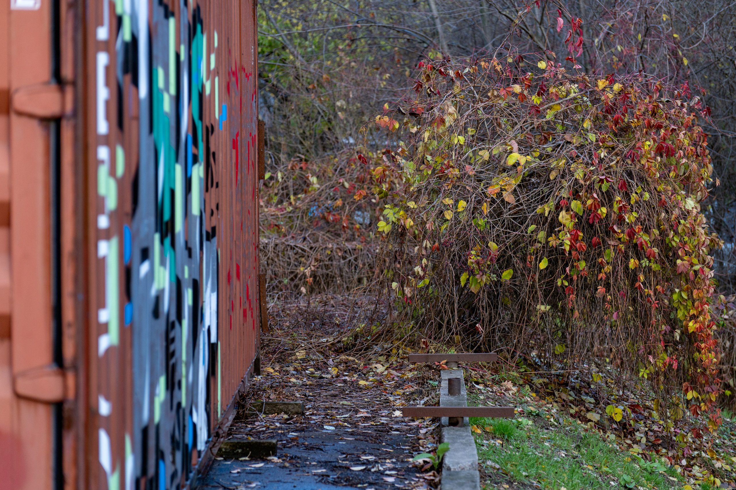 20241102 МГУ. Дмитрий Ремизов. Фотография, как хобби