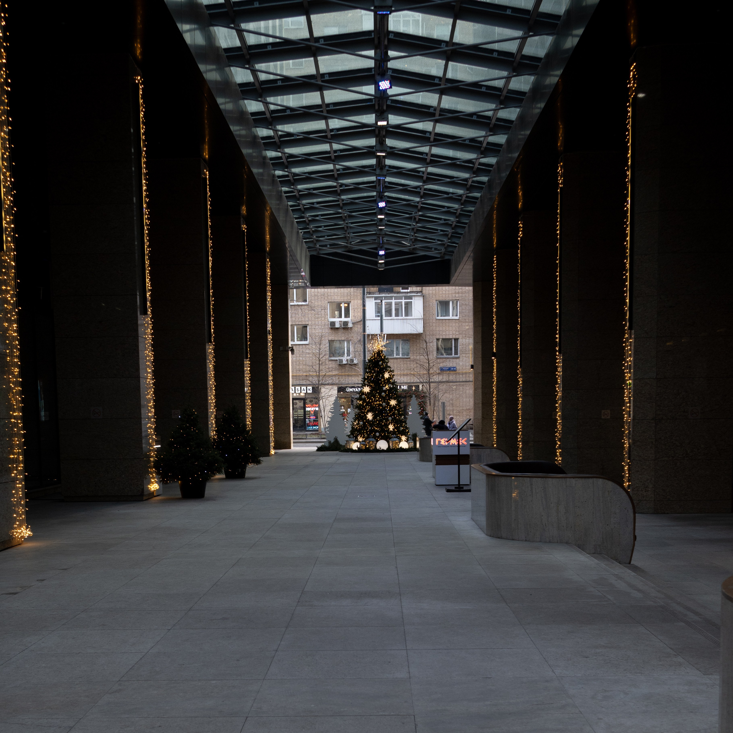 20250202 Белорусская-Охотный ряд. Дмитрий Ремизов. Фотография, как хобби