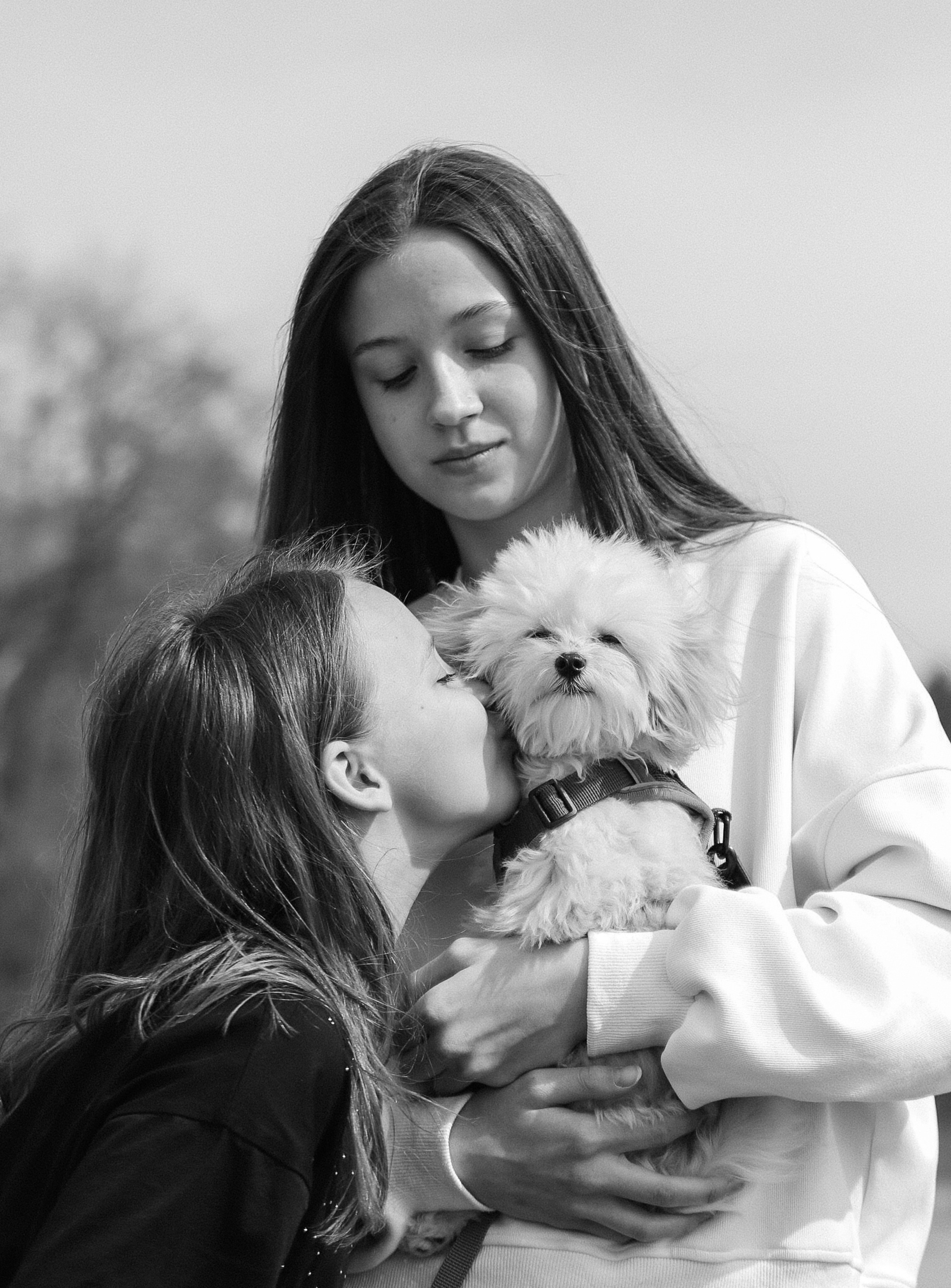 Семейные фотосессии. Фотограф Юлия Мальцева