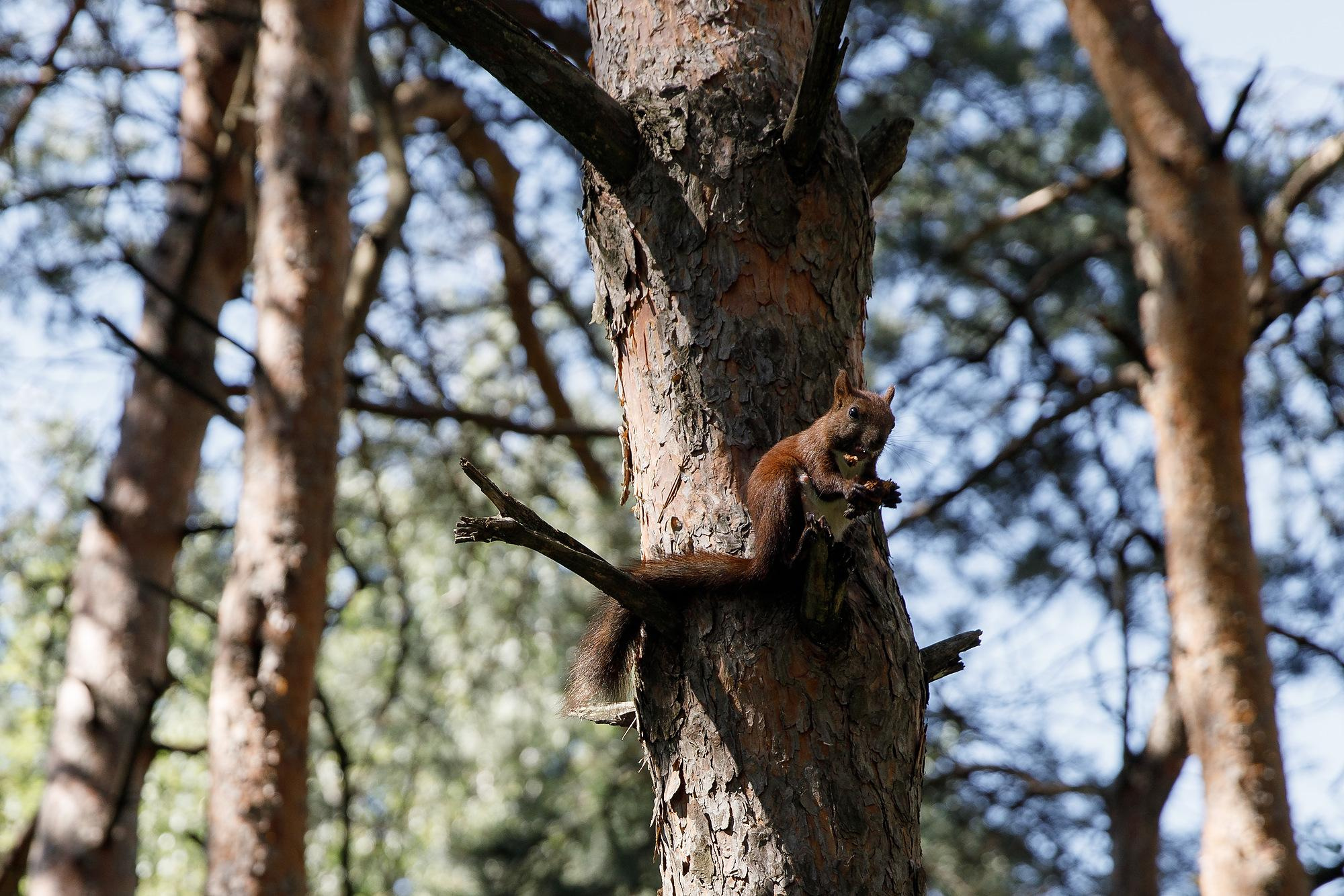 Леша и Настя. Фотограф Ставрополь Петр Голубенко