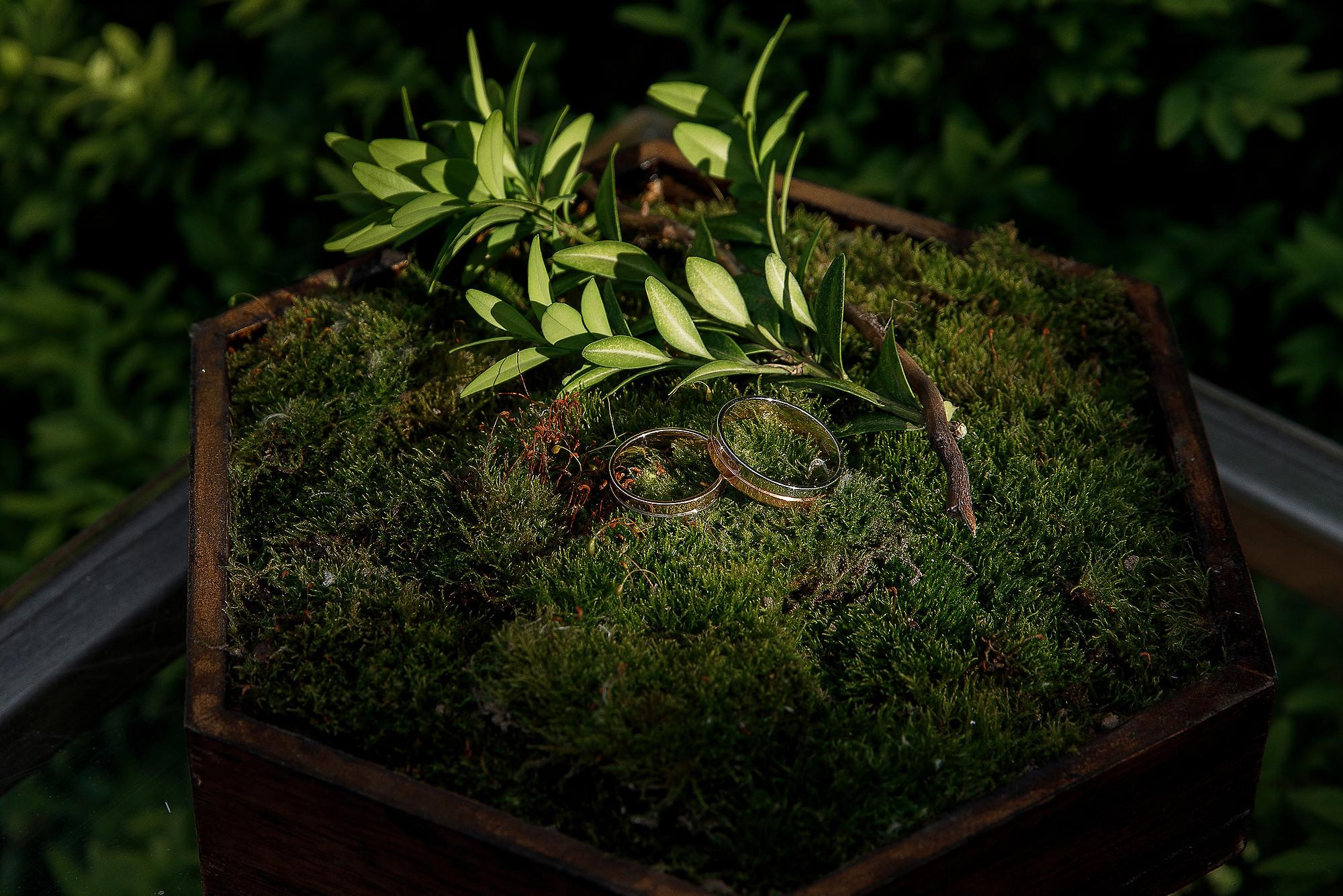 Леша и Настя. Фотограф Ставрополь Петр Голубенко