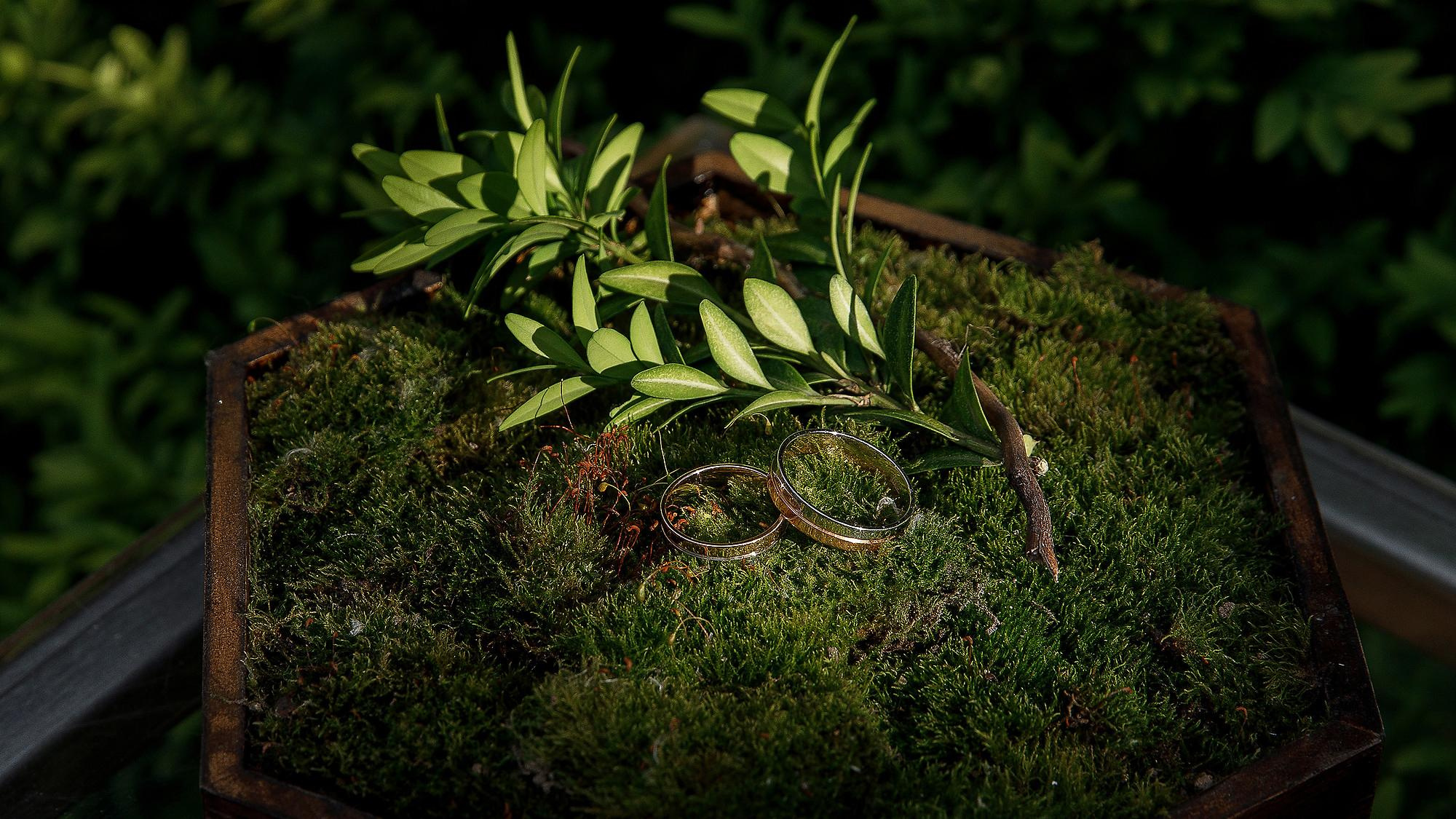 Фотограф Ставрополь Петр Голубенко