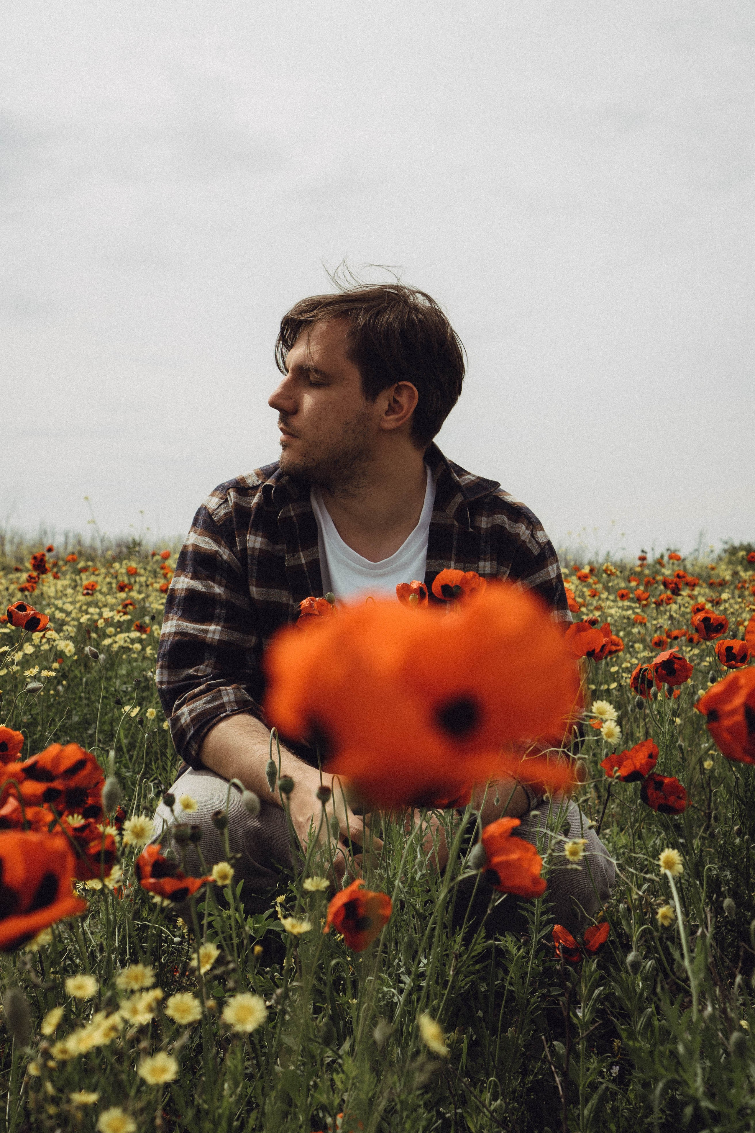 Маки. Профессиональный фотограф, Санкт-Петербург — Виктория Богомолова