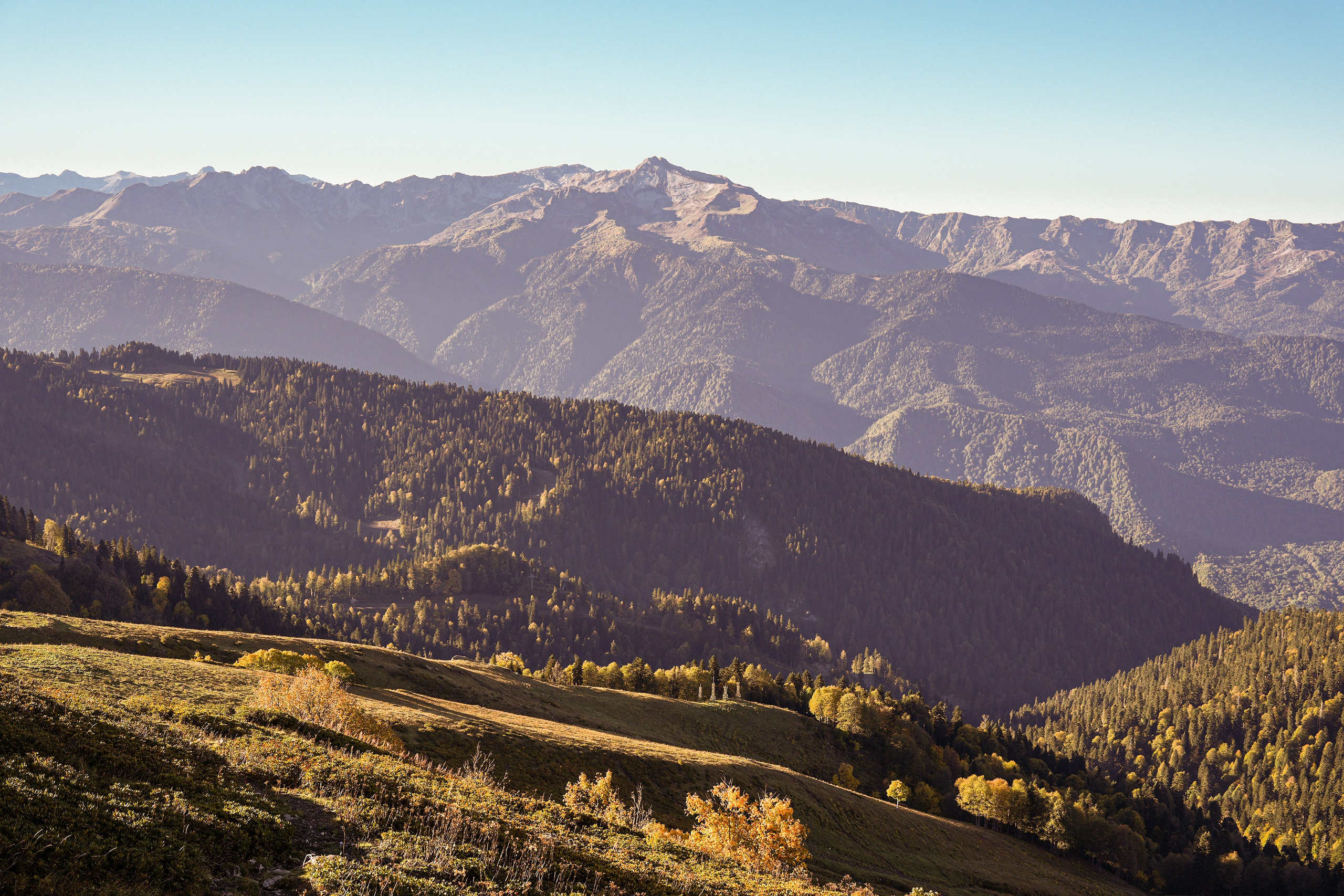 Ыаывы. Репортажный фотограф в Красной Поляне и Сочи Павлюченко Екатерина