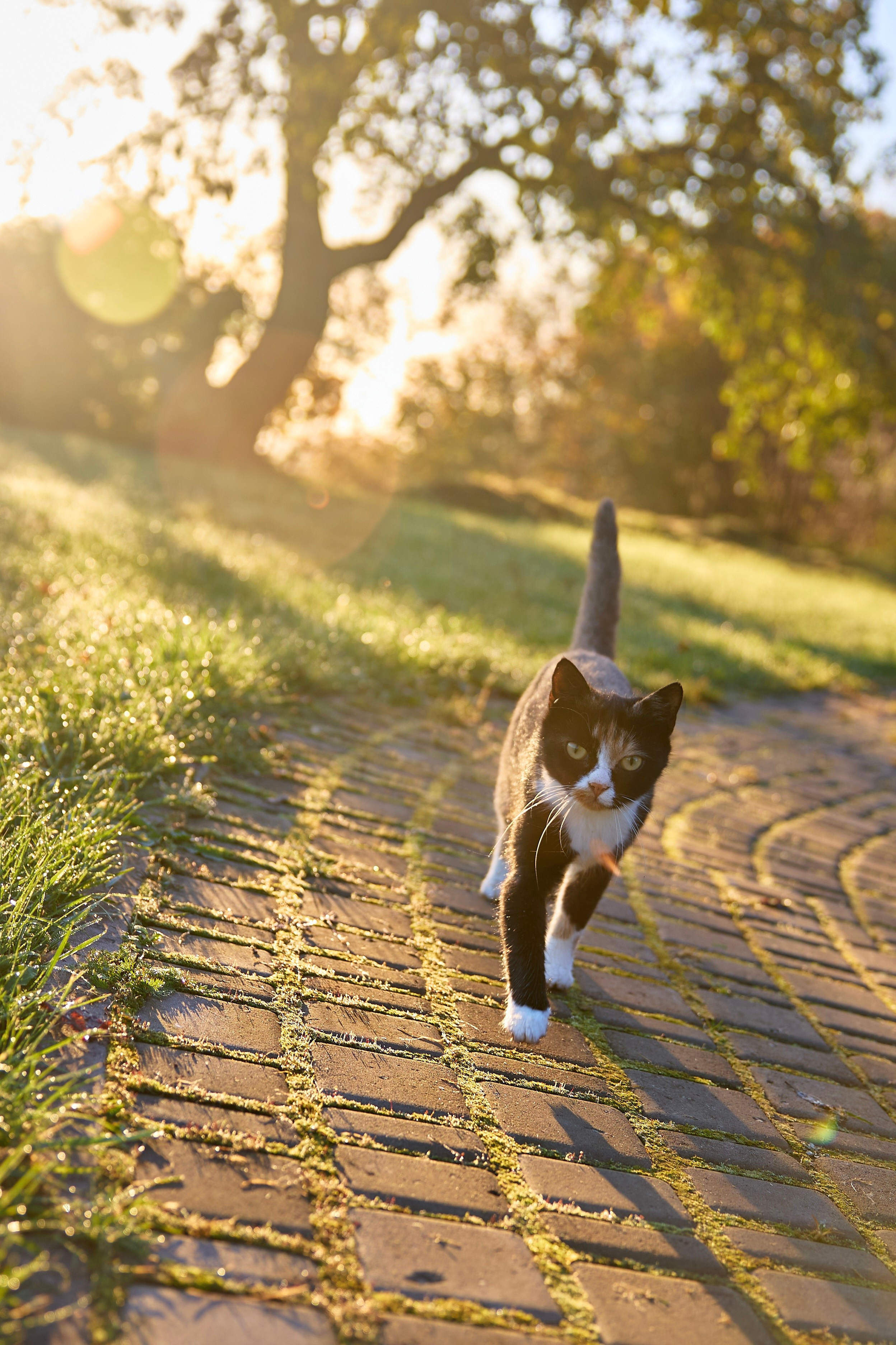 Пейзаж. Фотограф Люся Воробьева